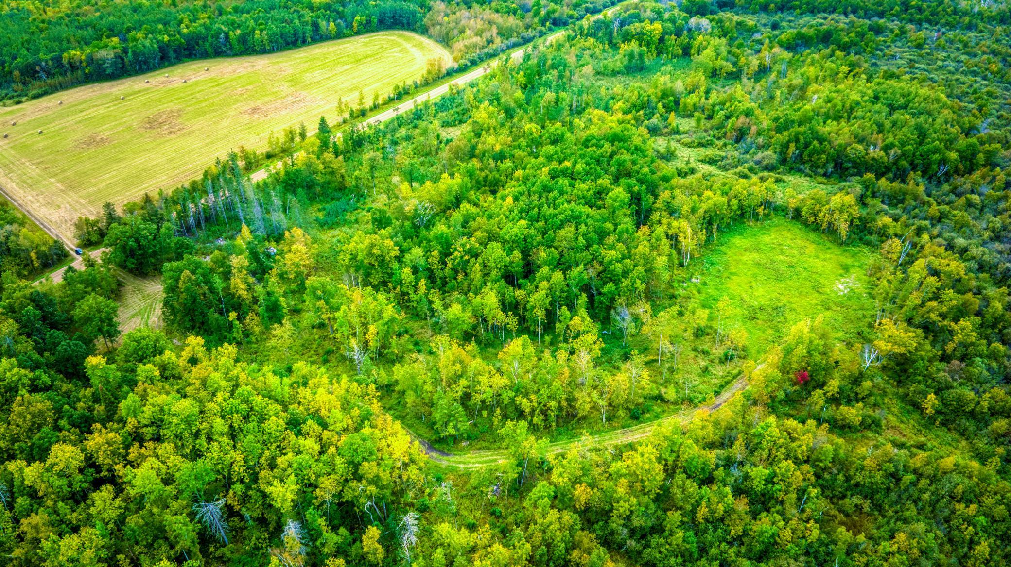 land for sale at 12479 Battle Road NE in Blackduck, MN (photo 20 of 37)