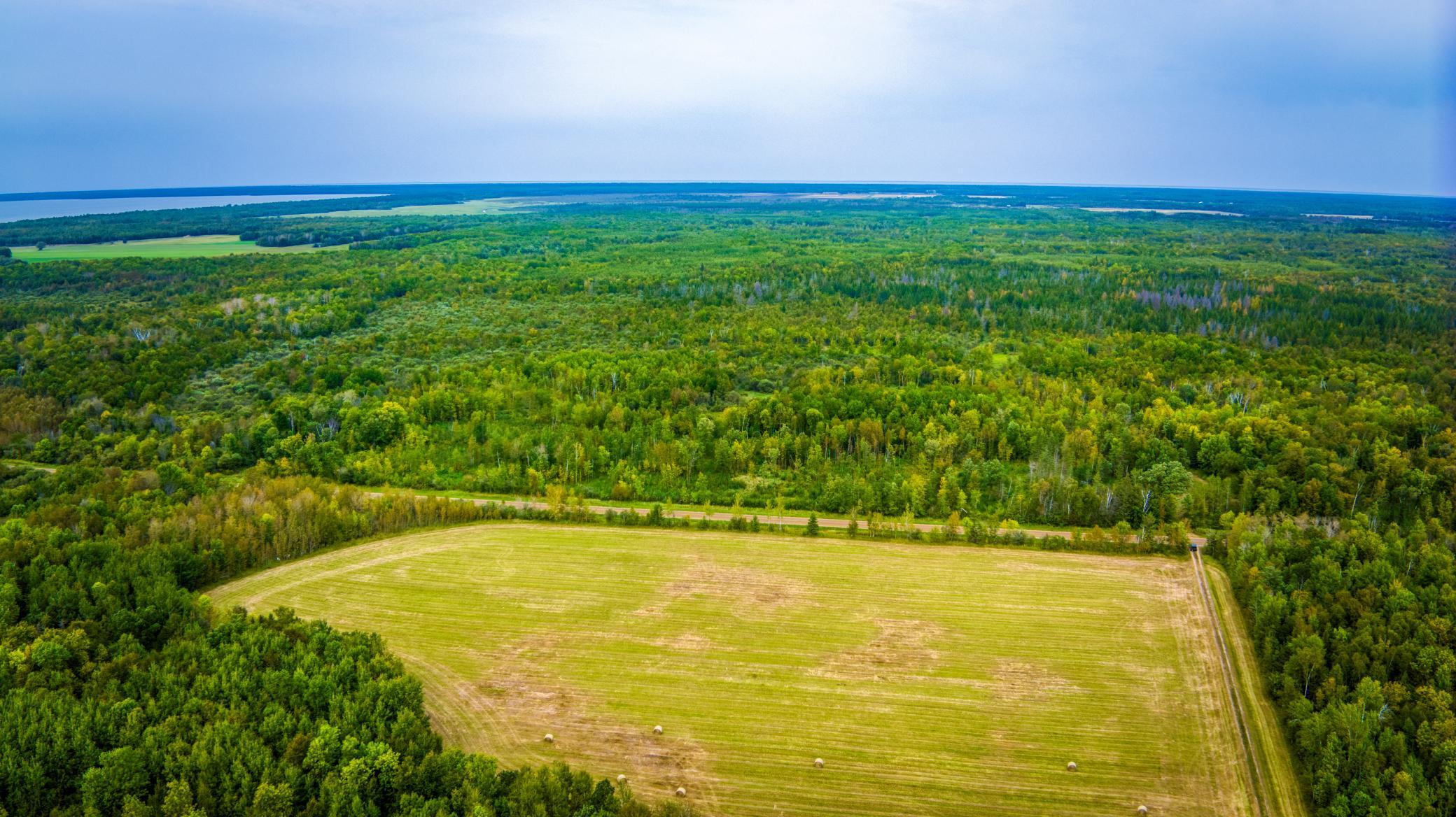 land for sale at 12479 Battle Road NE in Blackduck, MN (photo 3 of 37)