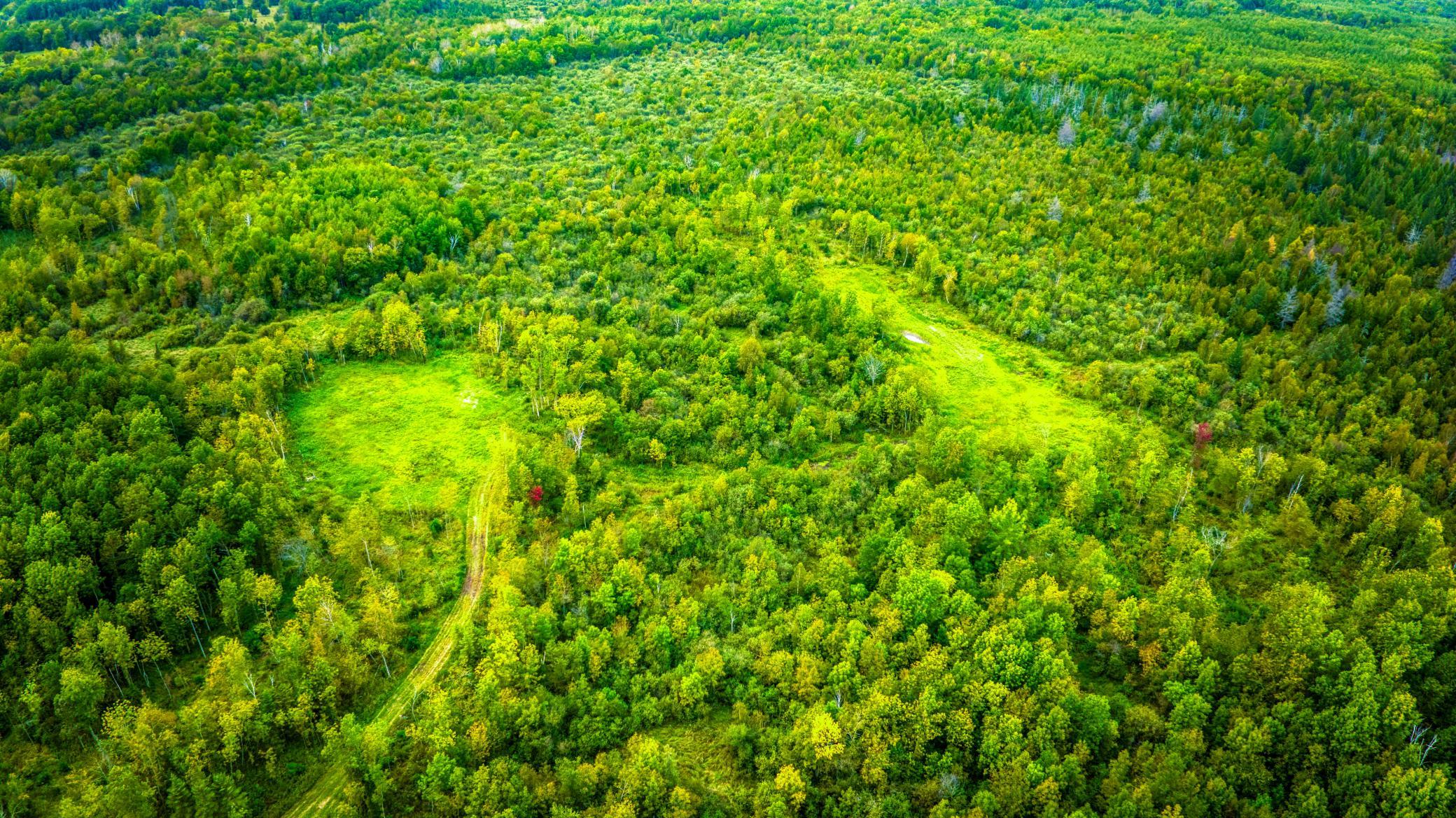 land for sale at 12479 Battle Road NE in Blackduck, MN (photo 21 of 37)