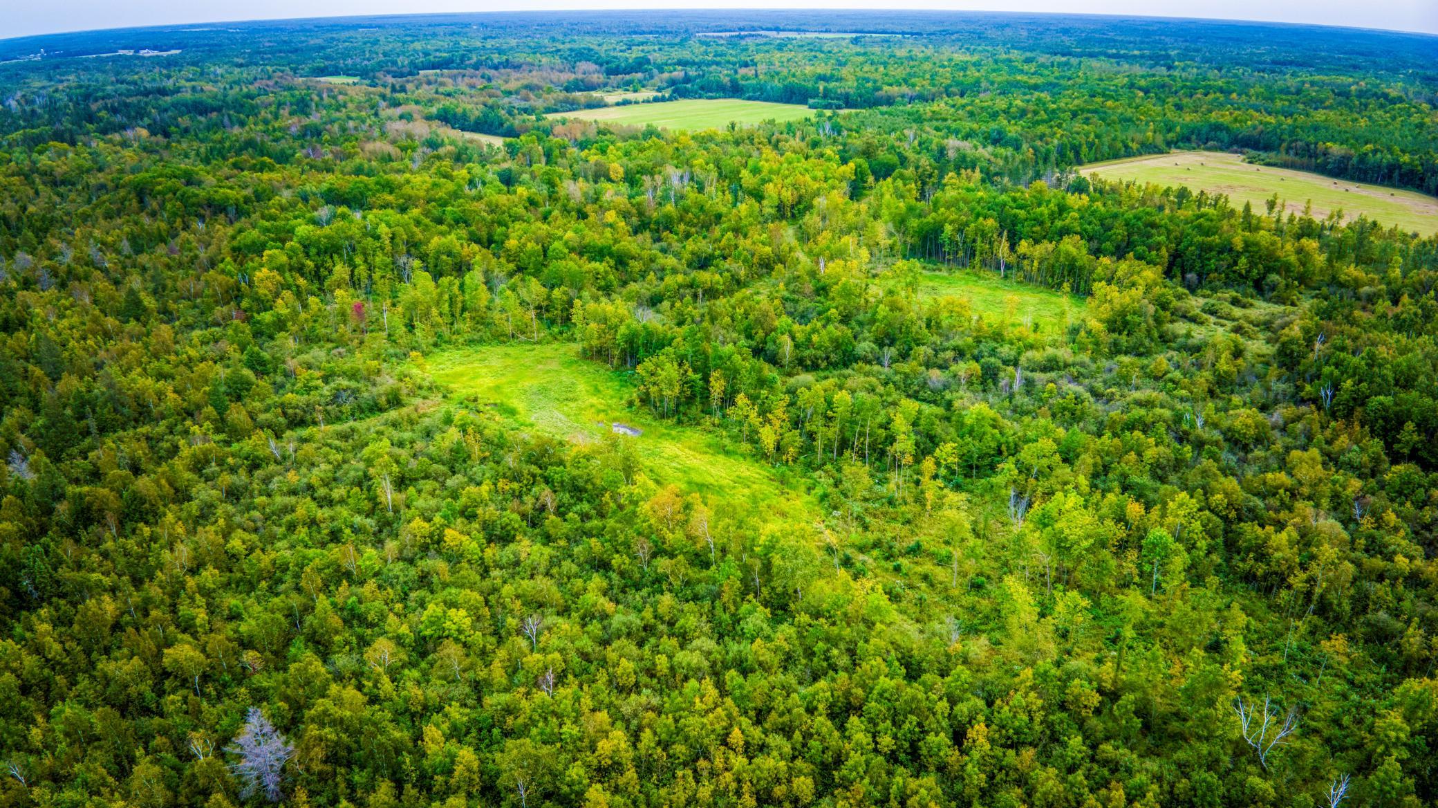 land for sale at 12479 Battle Road NE in Blackduck, MN (photo 22 of 37)