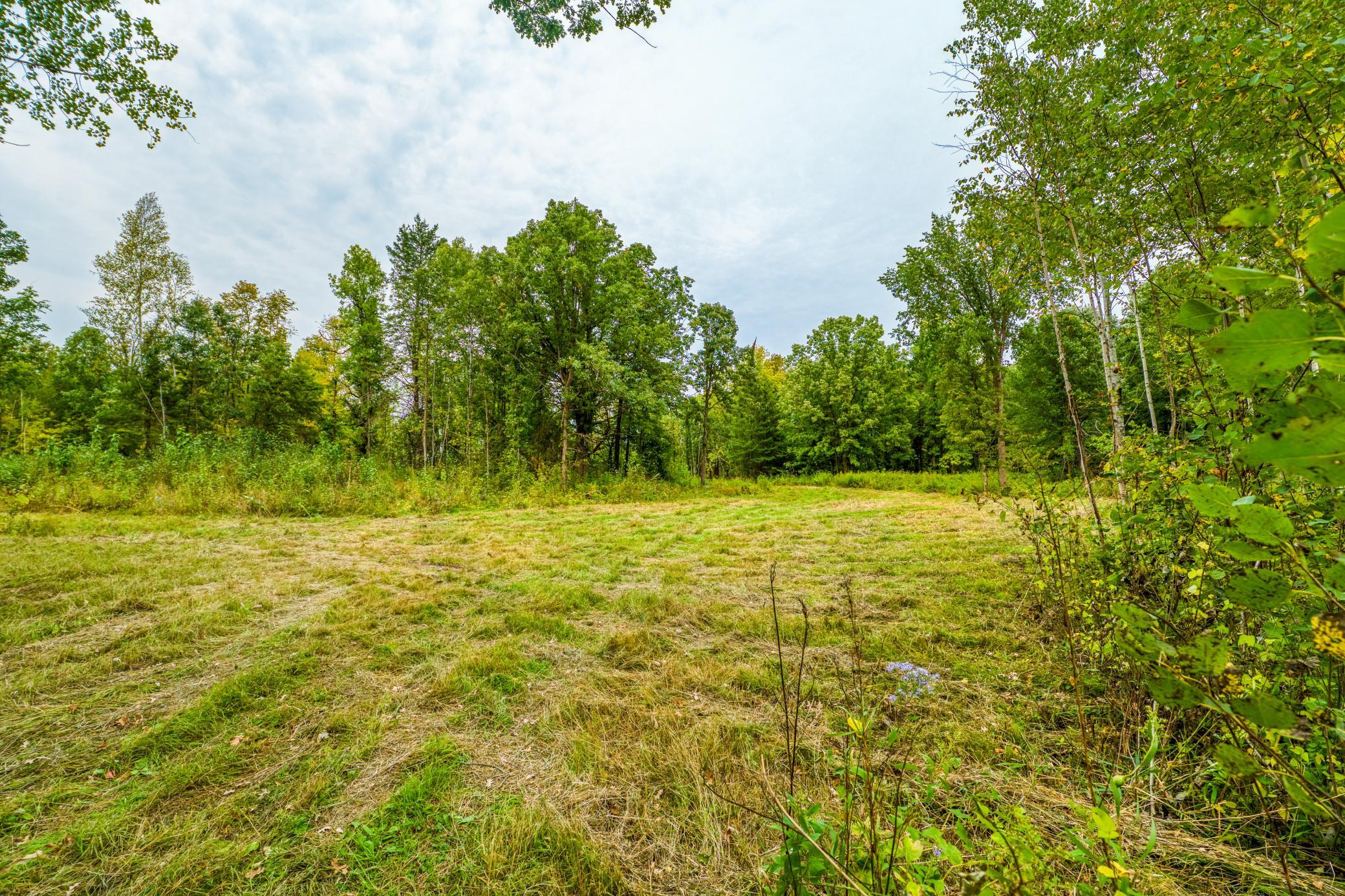 land for sale at 12479 Battle Road NE in Blackduck, MN (photo 27 of 37)