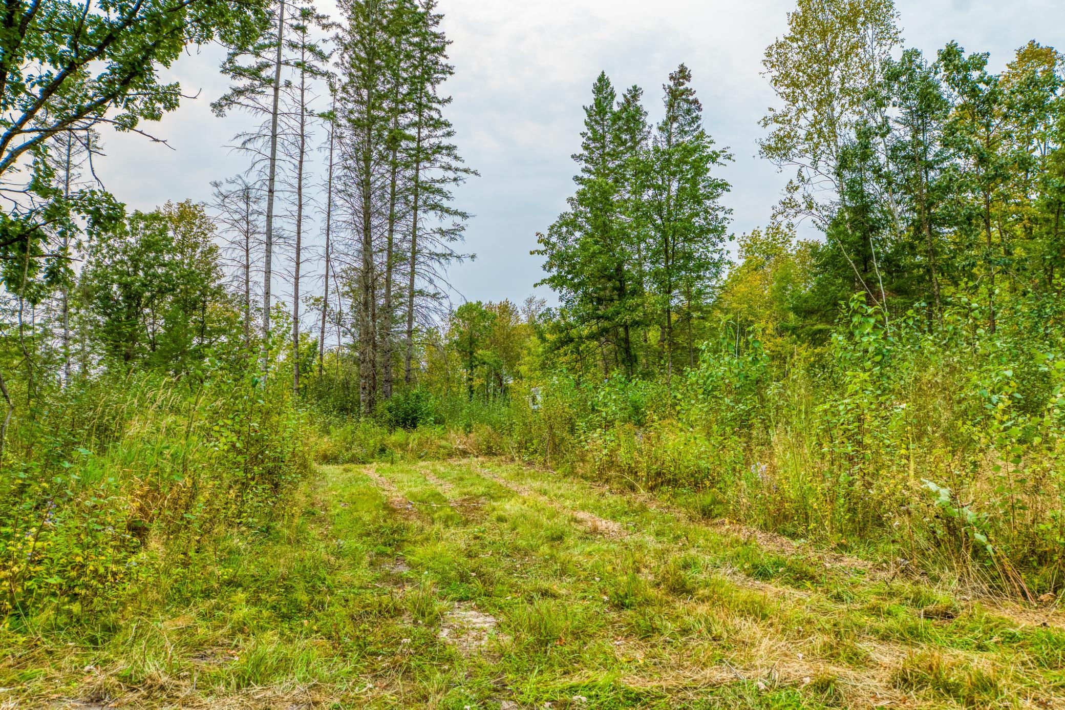 land for sale at 12479 Battle Road NE in Blackduck, MN (photo 28 of 37)