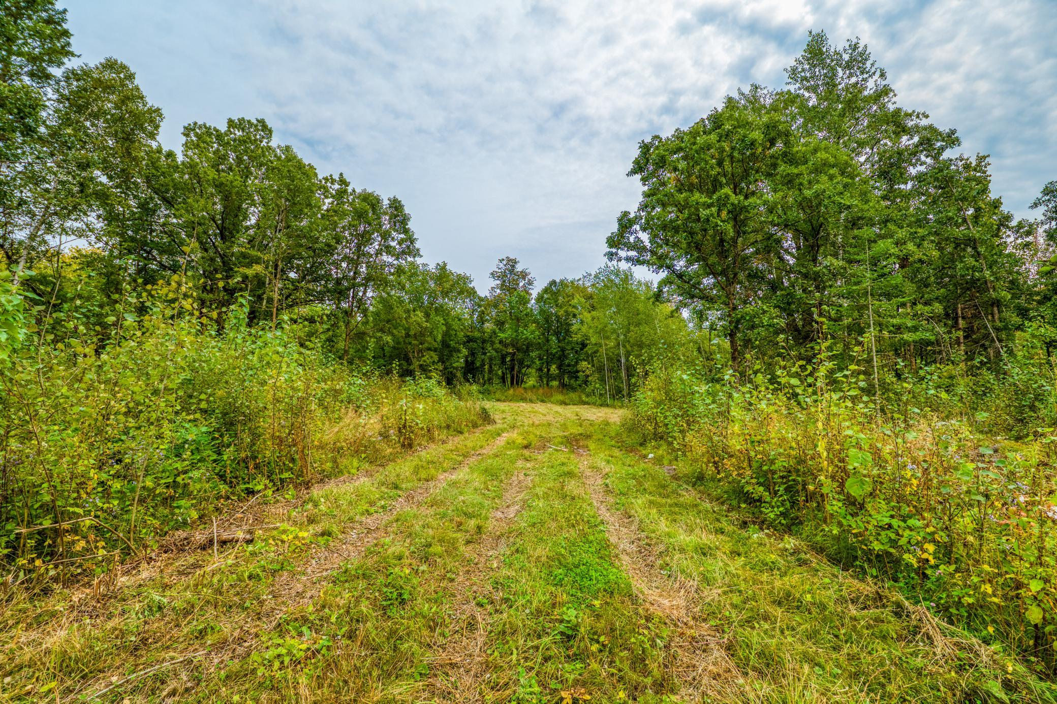 land for sale at 12479 Battle Road NE in Blackduck, MN (photo 29 of 37)