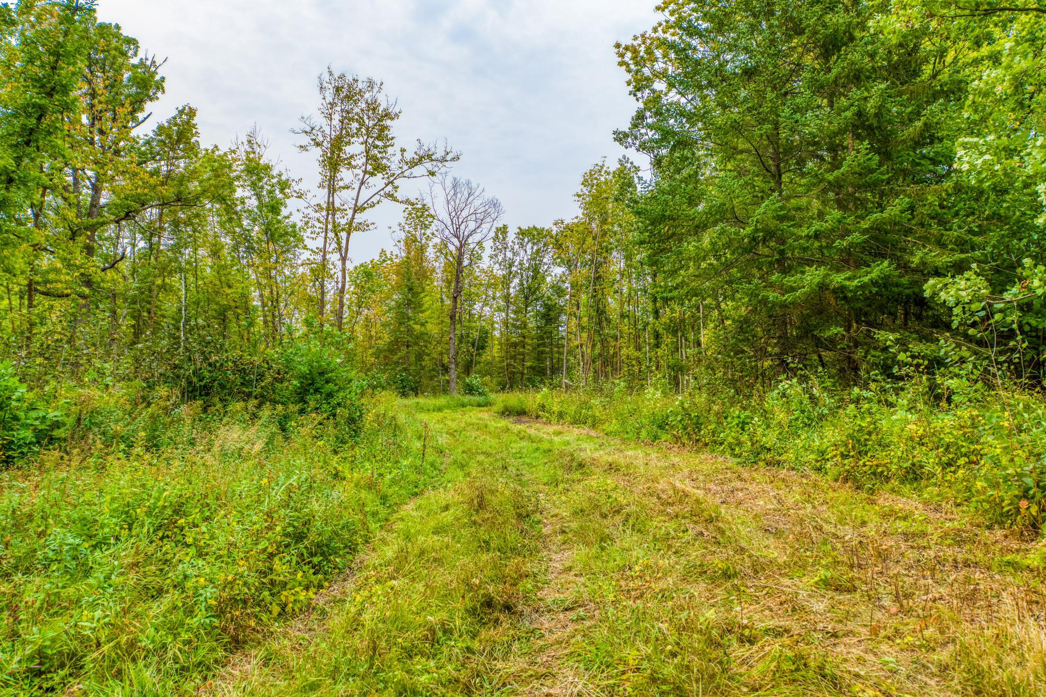 land for sale at 12479 Battle Road NE in Blackduck, MN (photo 30 of 37)