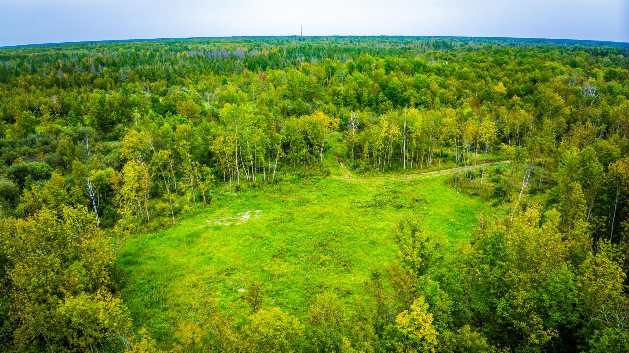 land for sale at 12479 Battle Road NE in Blackduck, MN (photo 4 of 37)