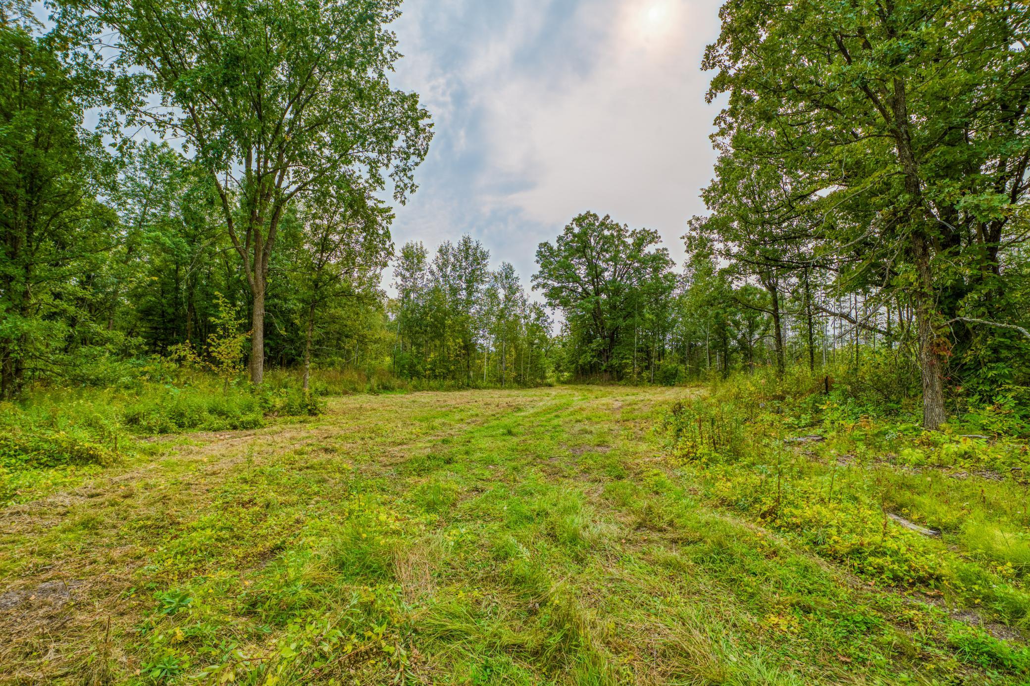 land for sale at 12479 Battle Road NE in Blackduck, MN (photo 31 of 37)