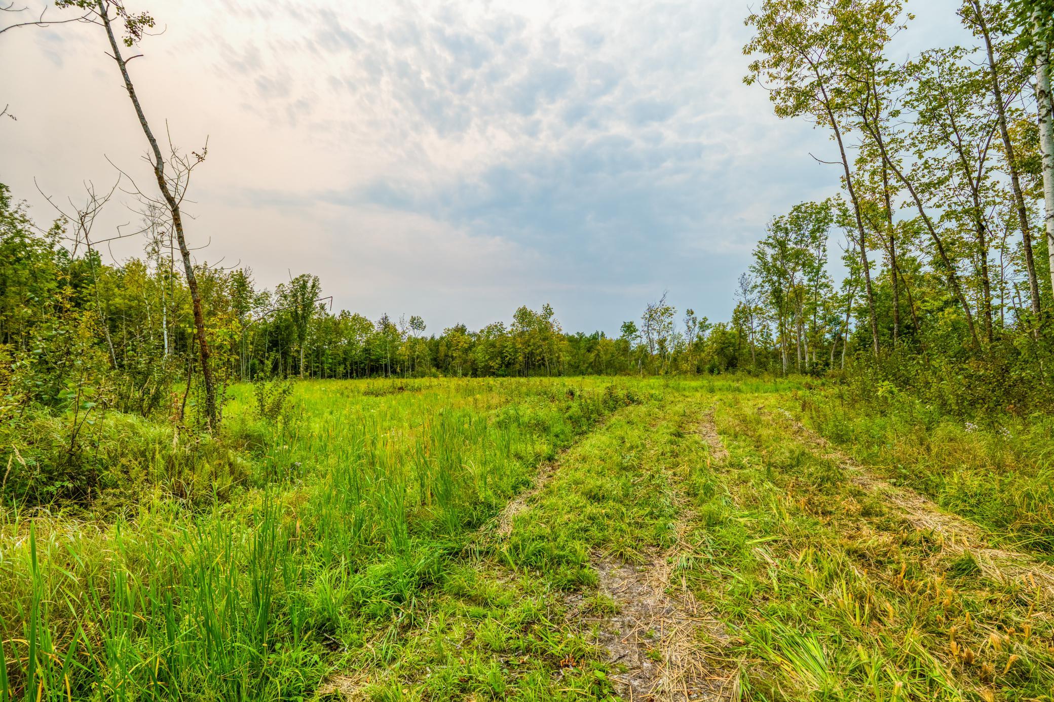 land for sale at 12479 Battle Road NE in Blackduck, MN (photo 33 of 37)