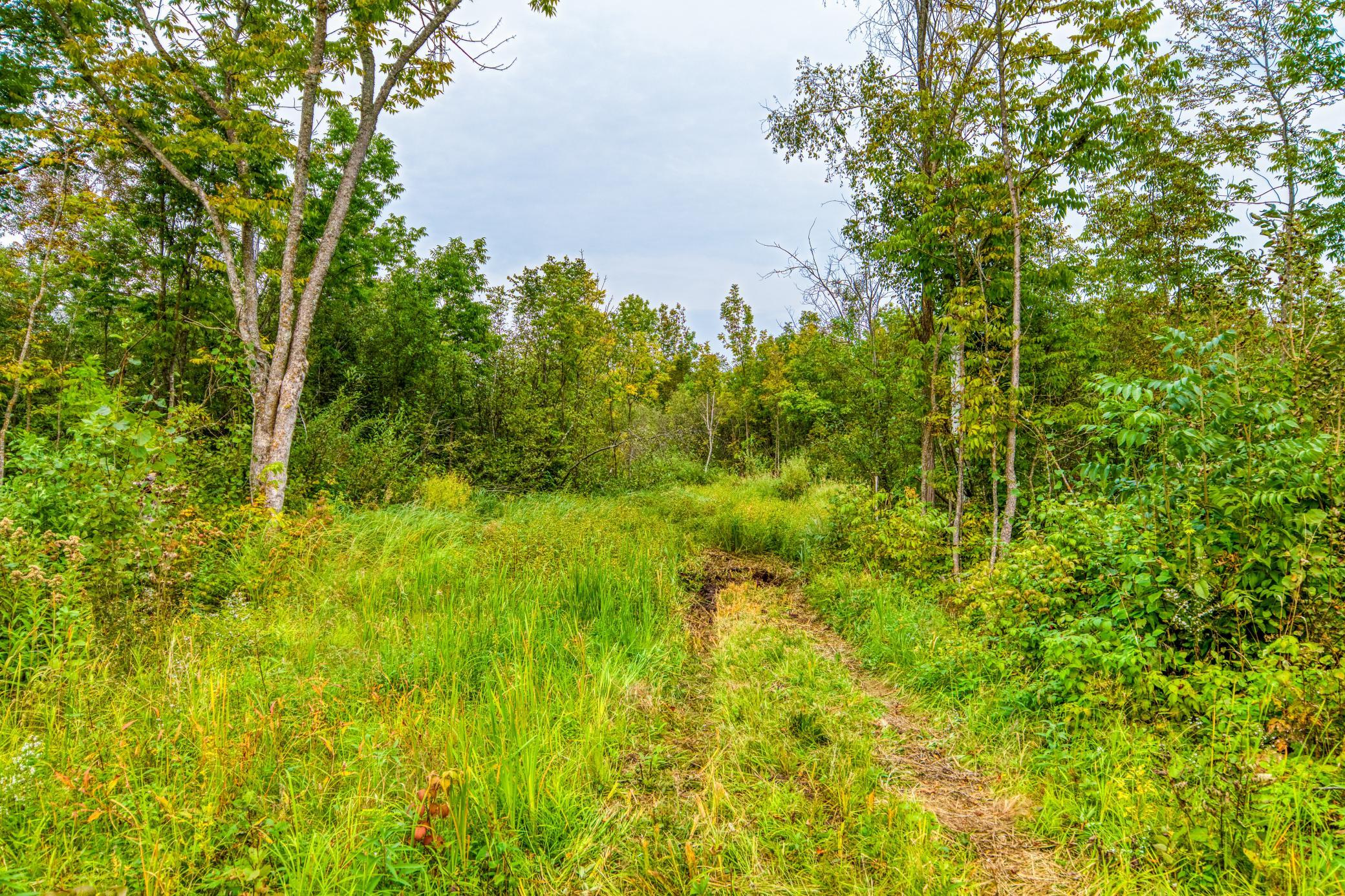land for sale at 12479 Battle Road NE in Blackduck, MN (photo 34 of 37)