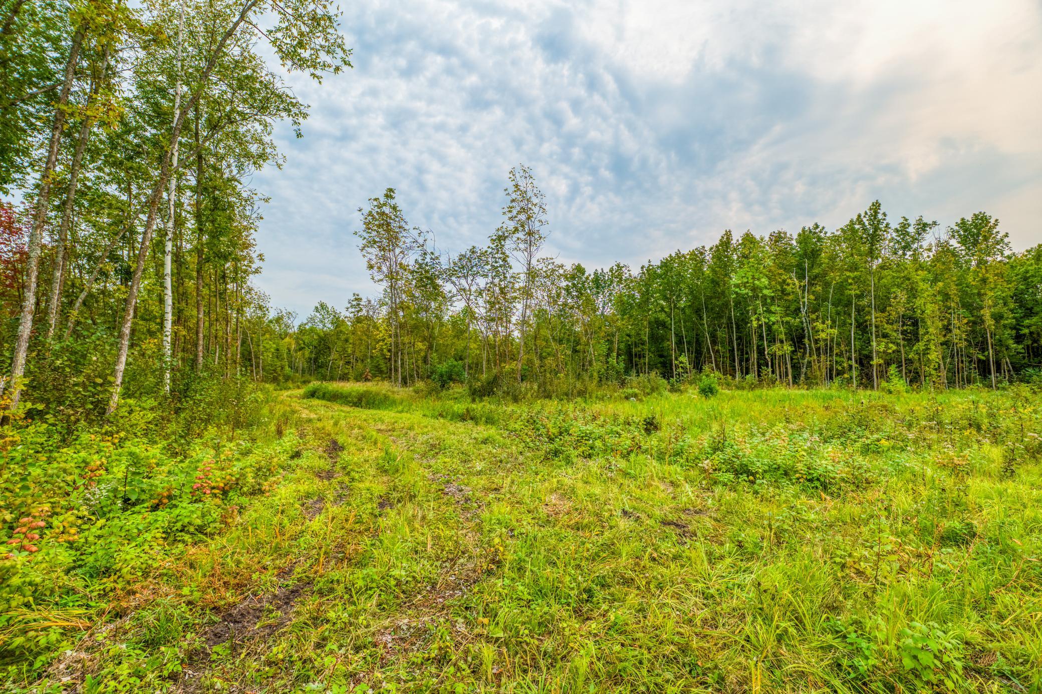 land for sale at 12479 Battle Road NE in Blackduck, MN (photo 35 of 37)