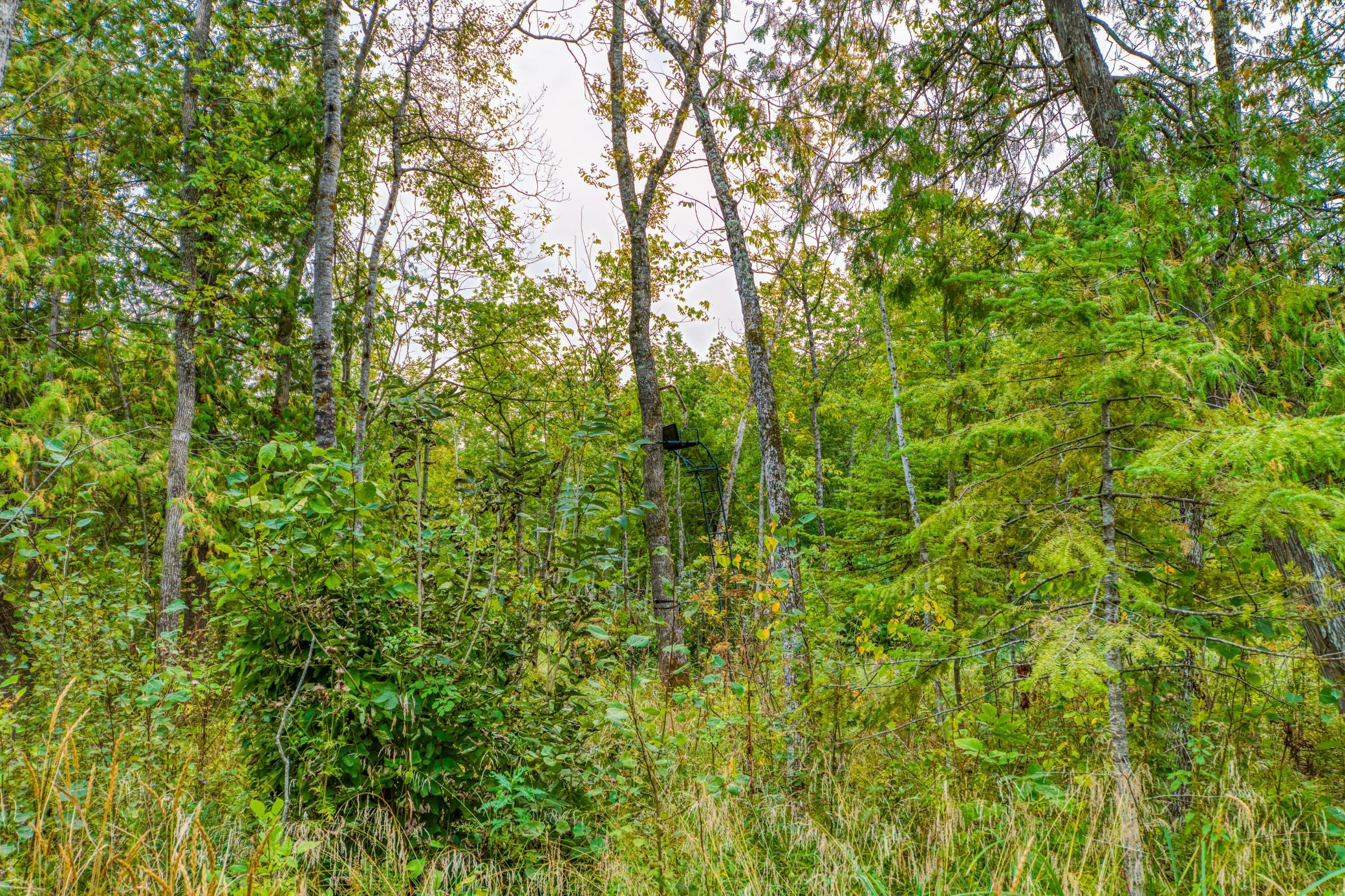 land for sale at 12479 Battle Road NE in Blackduck, MN (photo 36 of 37)