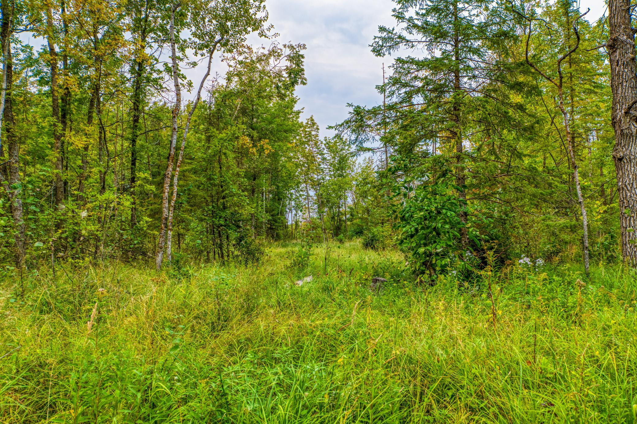 land for sale at 12479 Battle Road NE in Blackduck, MN (photo 37 of 37)