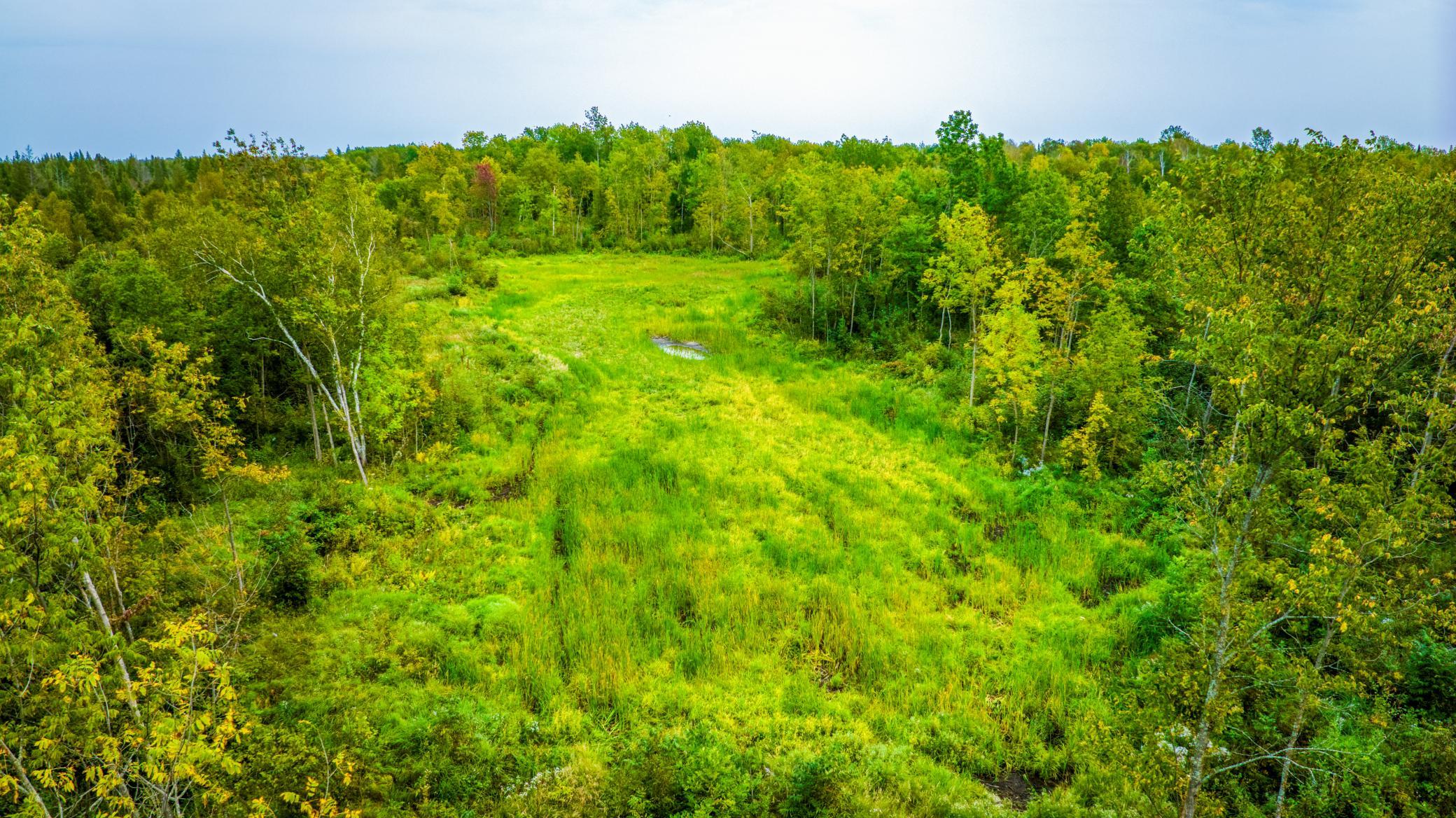 land for sale at 12479 Battle Road NE in Blackduck, MN (photo 5 of 37)
