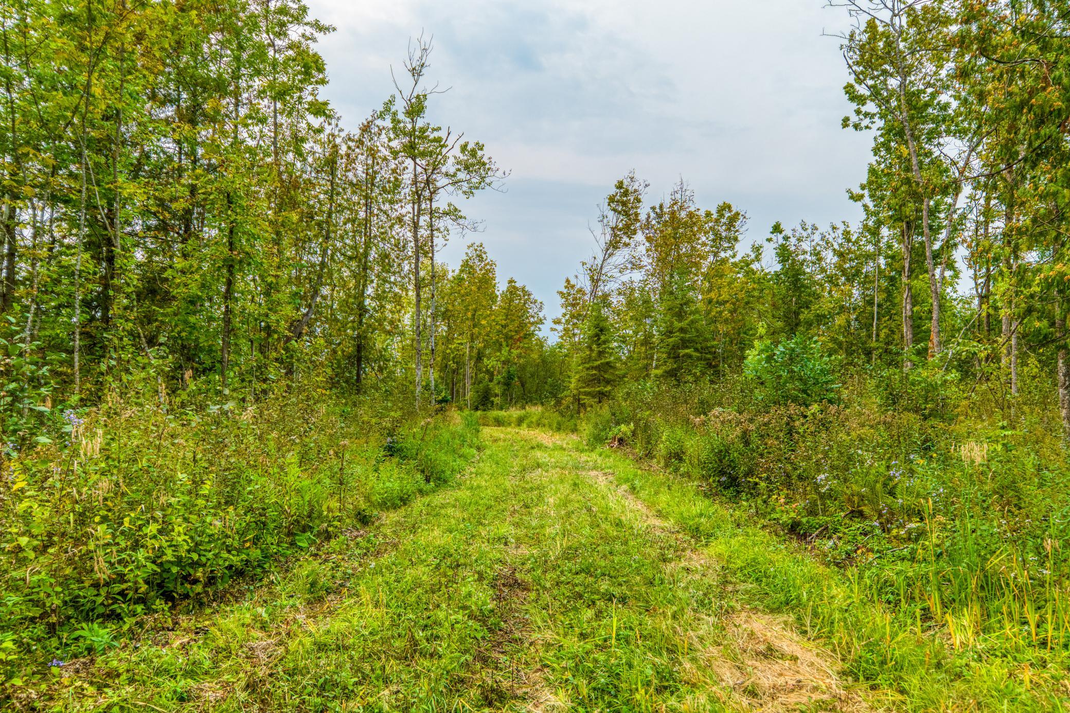 land for sale at 12479 Battle Road NE in Blackduck, MN (photo 6 of 37)