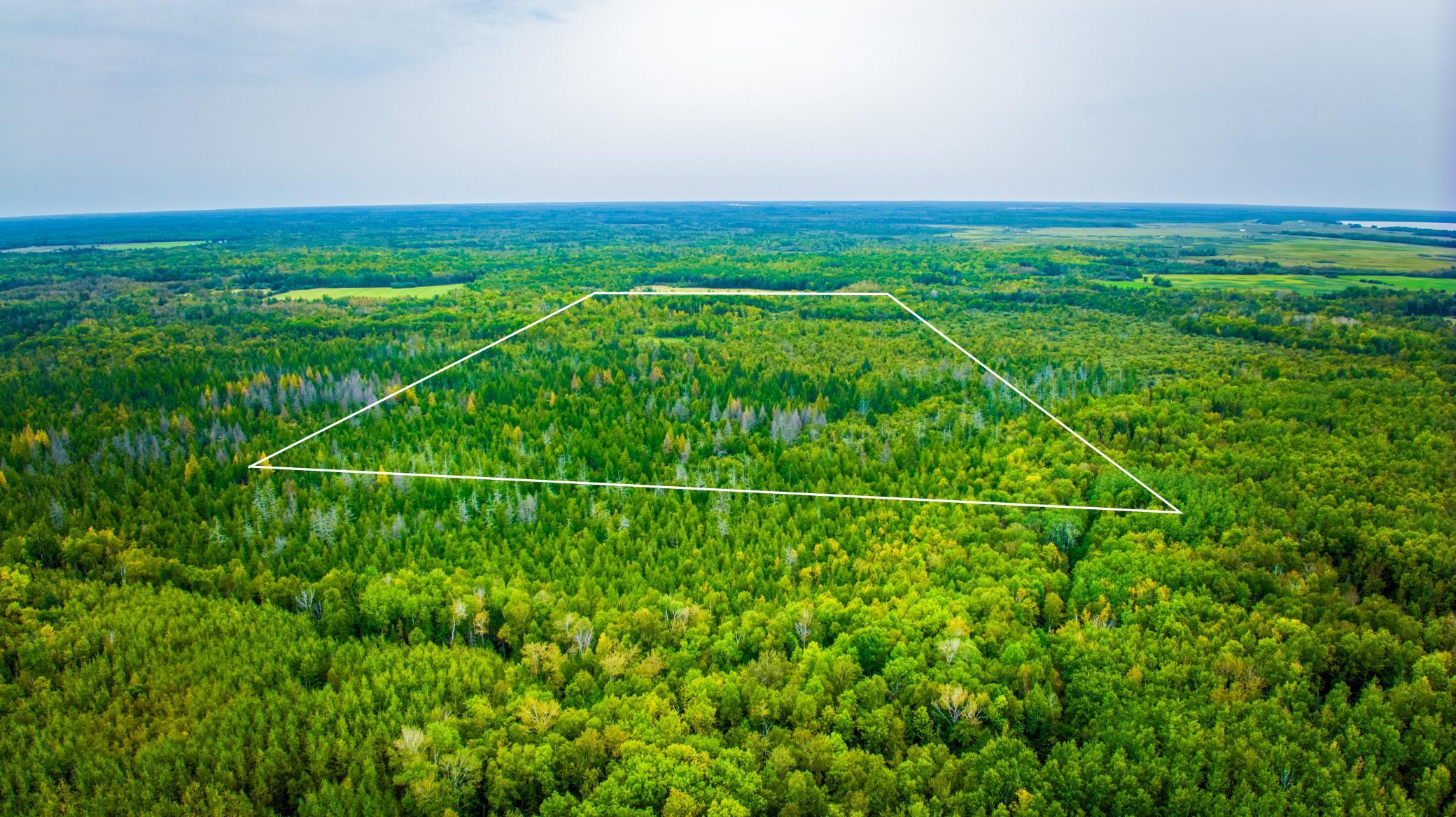 land for sale at 12479 Battle Road NE in Blackduck, MN (photo 7 of 37)