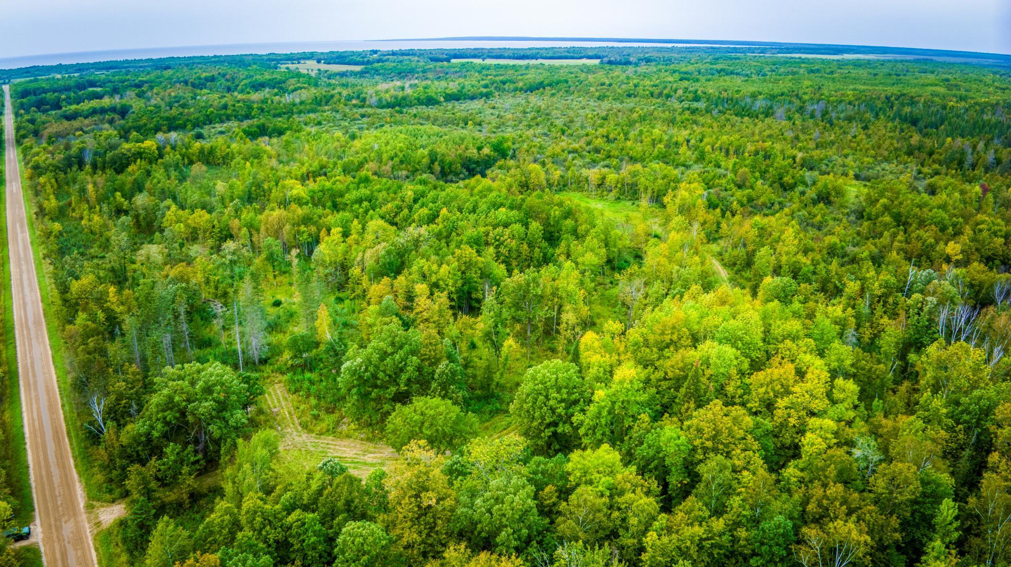 land for sale at 12479 Battle Road NE in Blackduck, MN (photo 8 of 37)