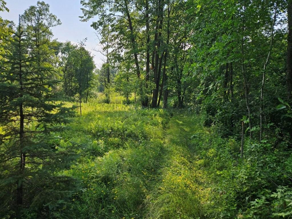 16713 340th Street, Bagley MN 56621 - Photo 17 of 58
