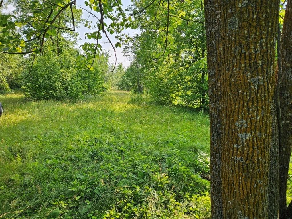 16713 340th Street, Bagley MN 56621 - Photo 18 of 58