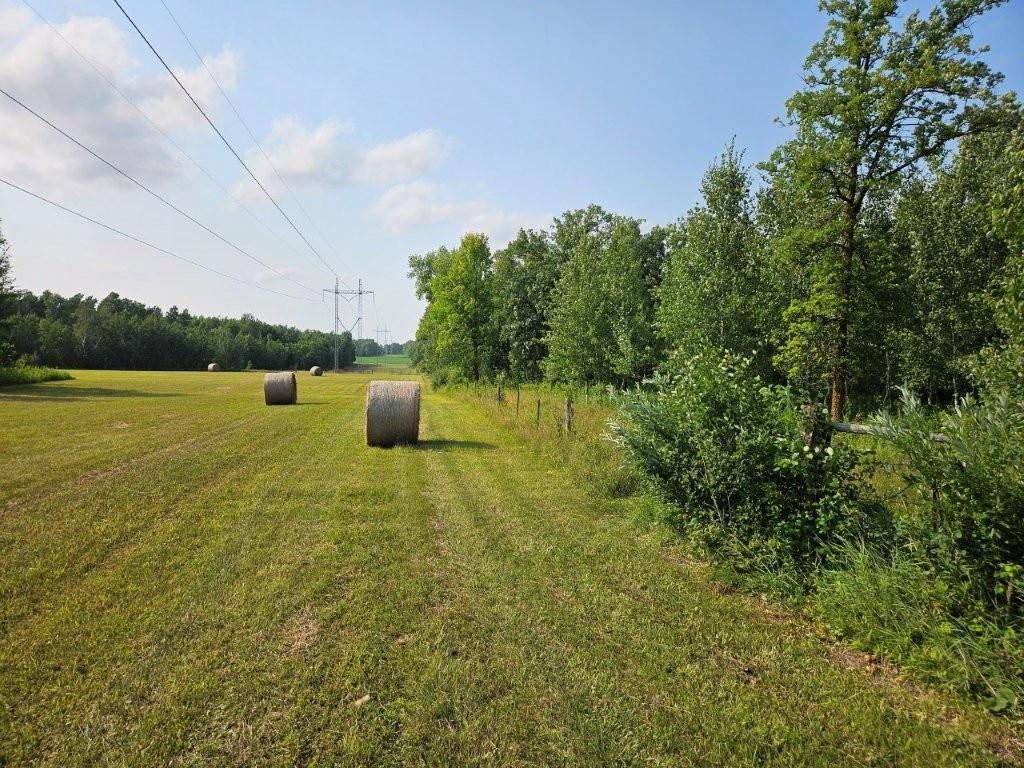 16713 340th Street, Bagley MN 56621 - Photo 20 of 58