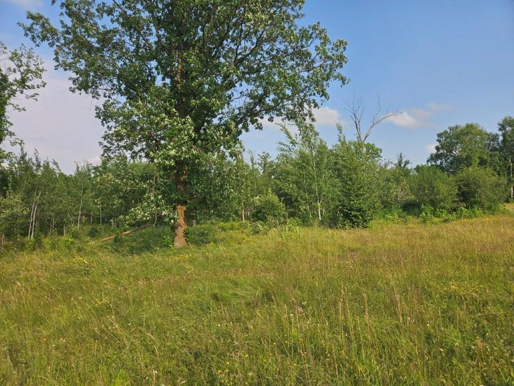 16713 340th Street, Bagley MN 56621 - Photo 37 of 58