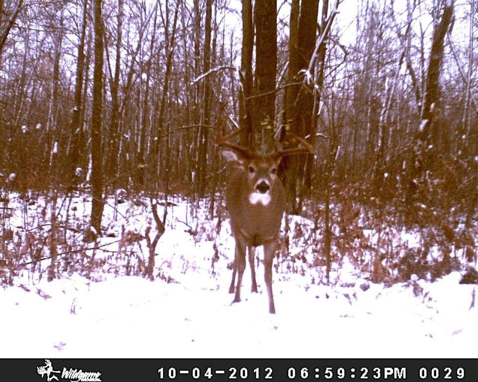 16713 340th Street, Bagley MN 56621 - Photo 49 of 58