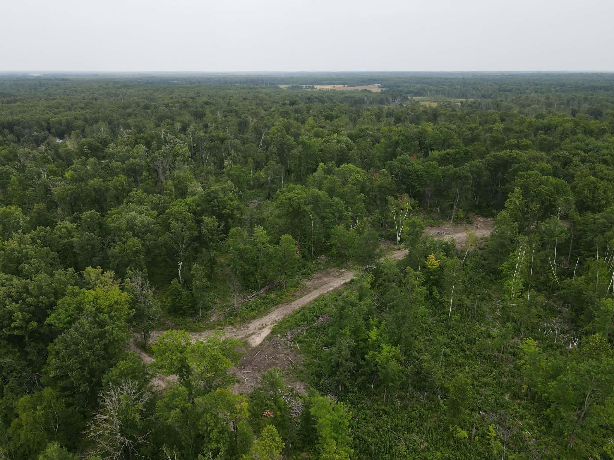land for sale at TBD 452nd Street in Solway, MN (photo 2 of 9)