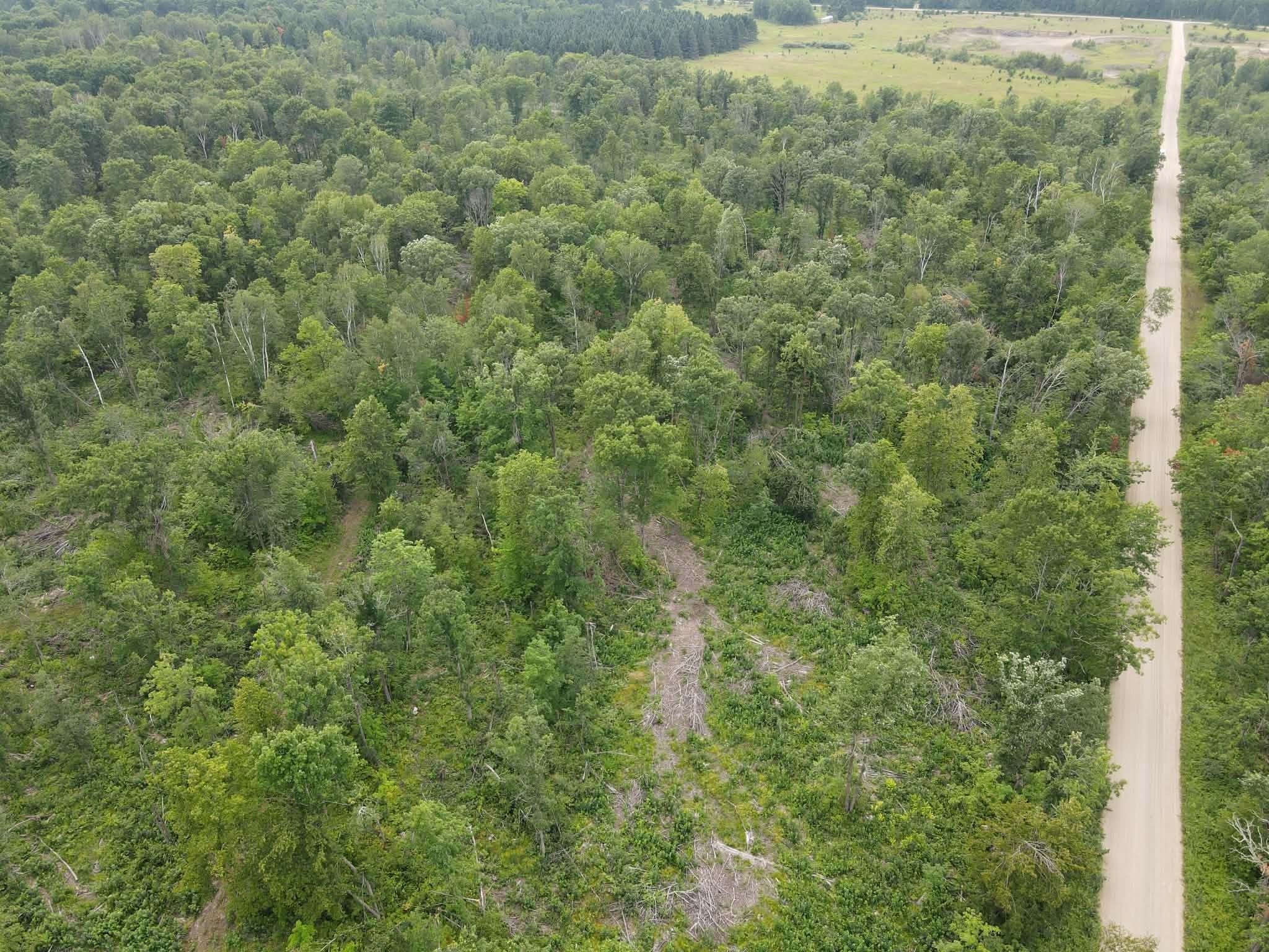 land for sale at TBD 452nd Street in Solway, MN (photo 4 of 9)