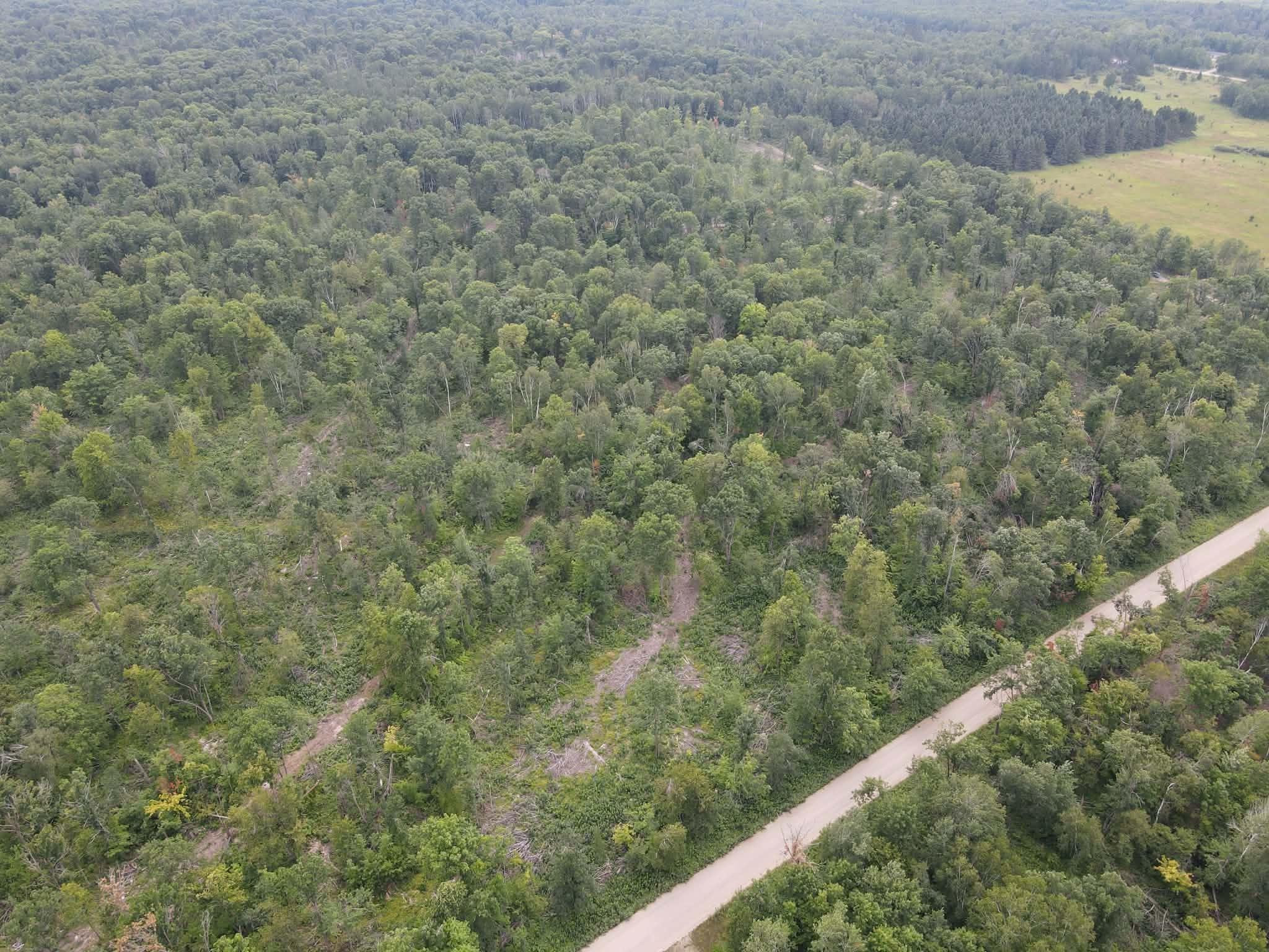 land for sale at TBD 452nd Street in Solway, MN (photo 5 of 9)