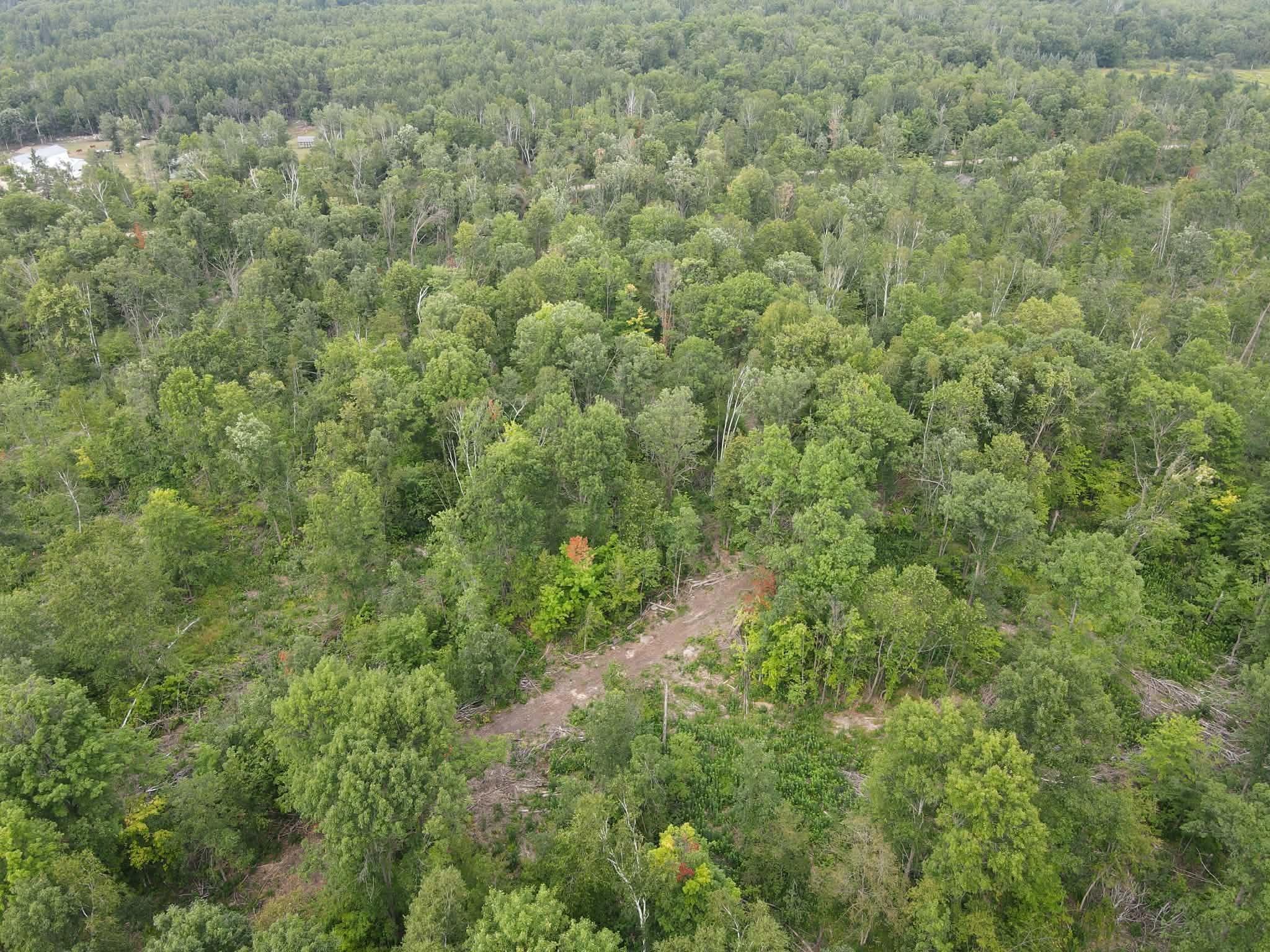 land for sale at TBD 452nd Street in Solway, MN (photo 8 of 9)