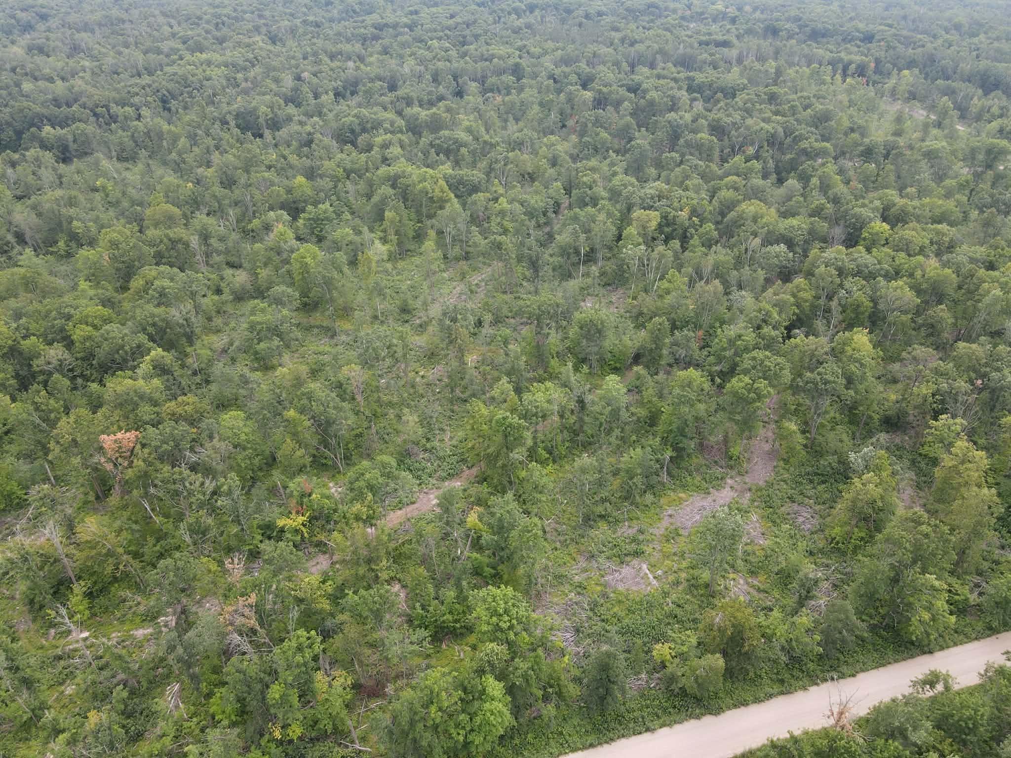 land for sale at TBD 452nd Street in Solway, MN (photo 9 of 9)
