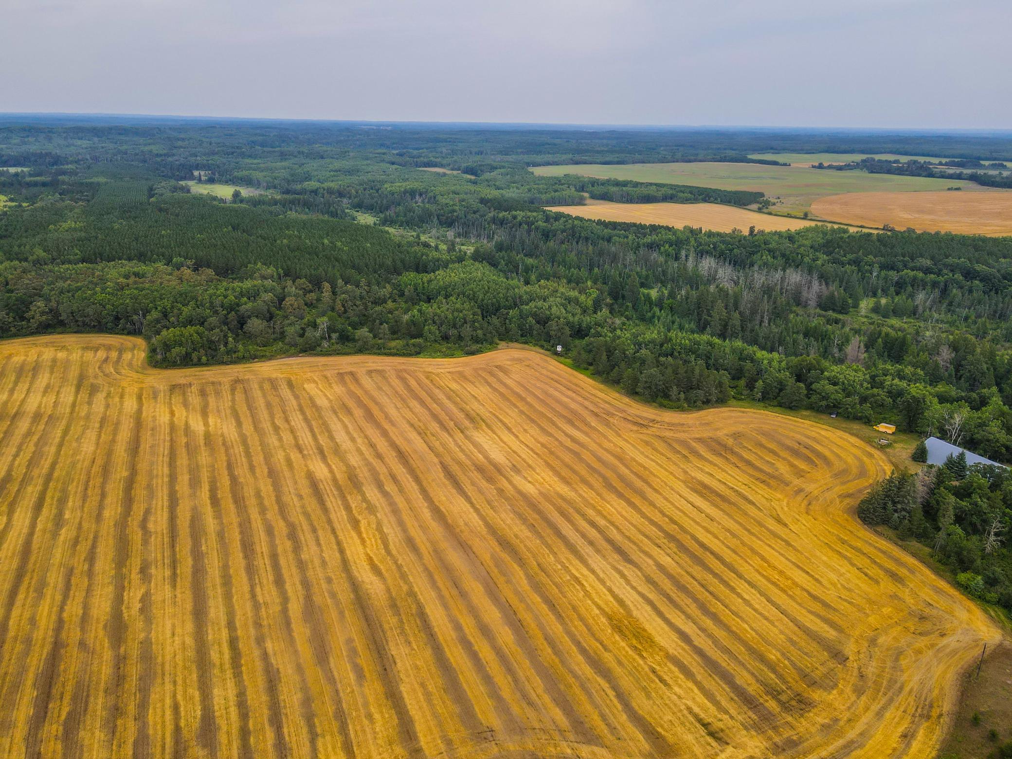 land for sale at TBD 285th Street in Osage, MN (photo 2 of 24)