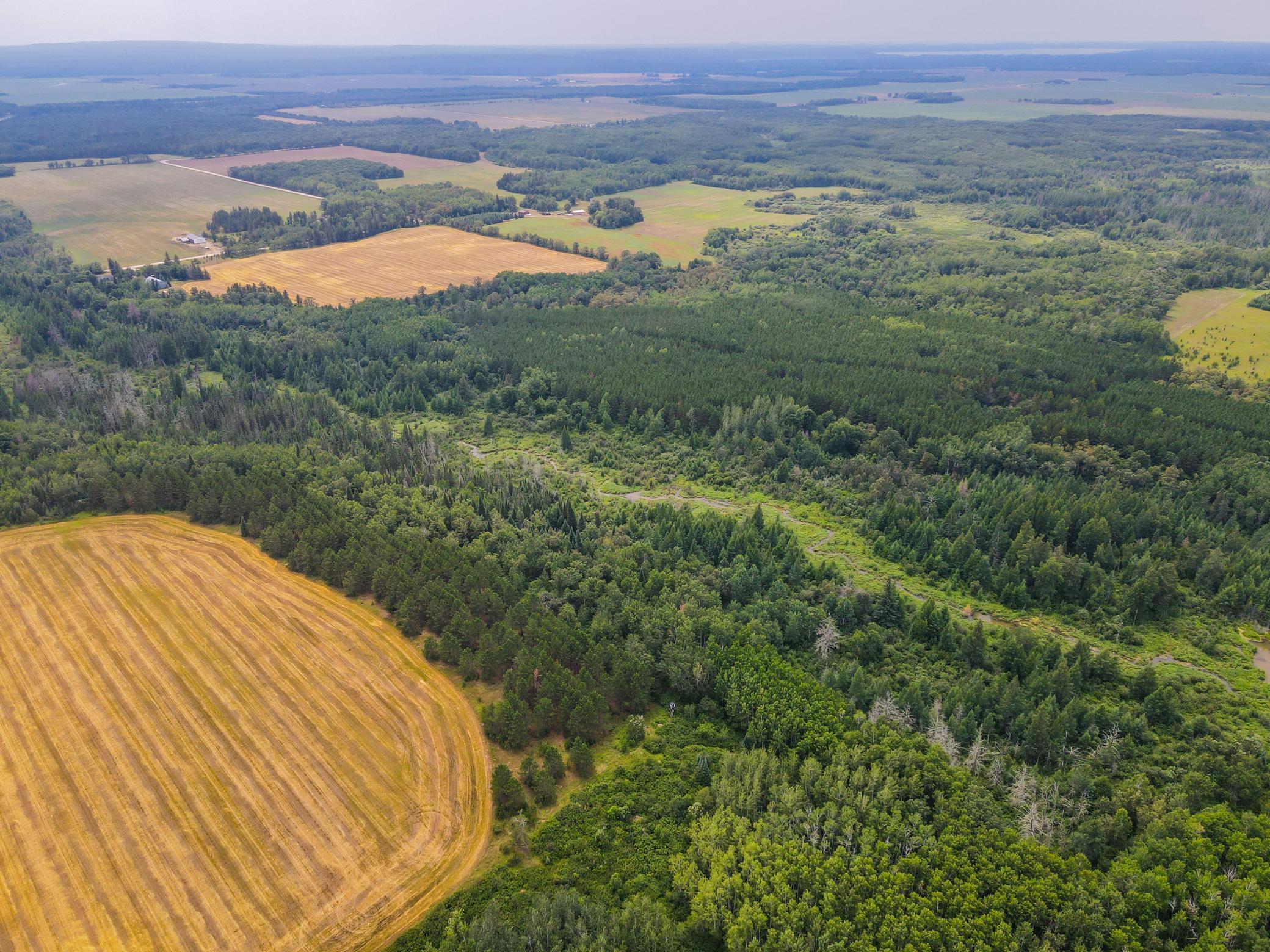 land for sale at TBD 285th Street in Osage, MN (photo 11 of 24)