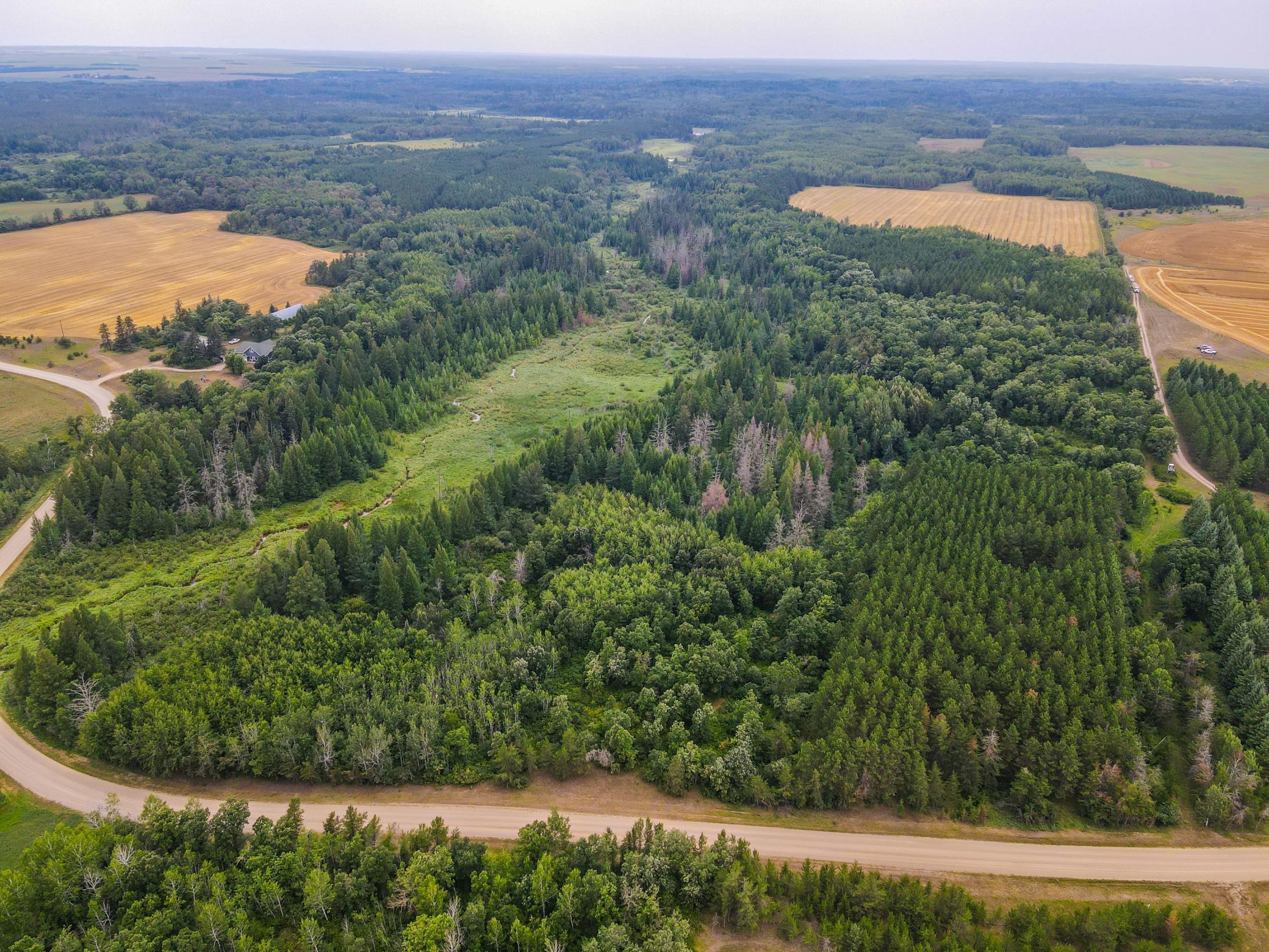 land for sale at TBD 285th Street in Osage, MN (photo 13 of 24)