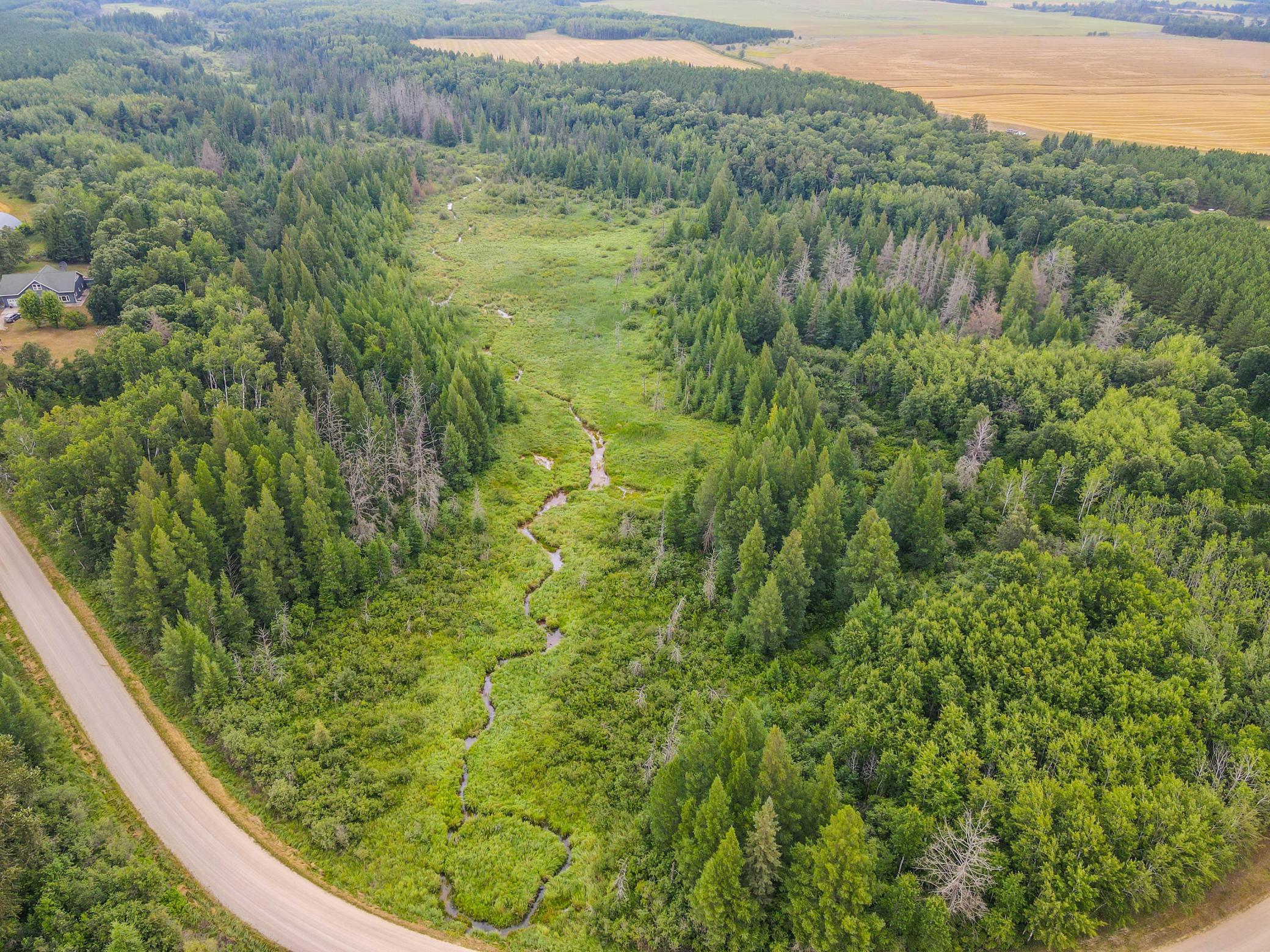 land for sale at TBD 285th Street in Osage, MN (photo 14 of 24)
