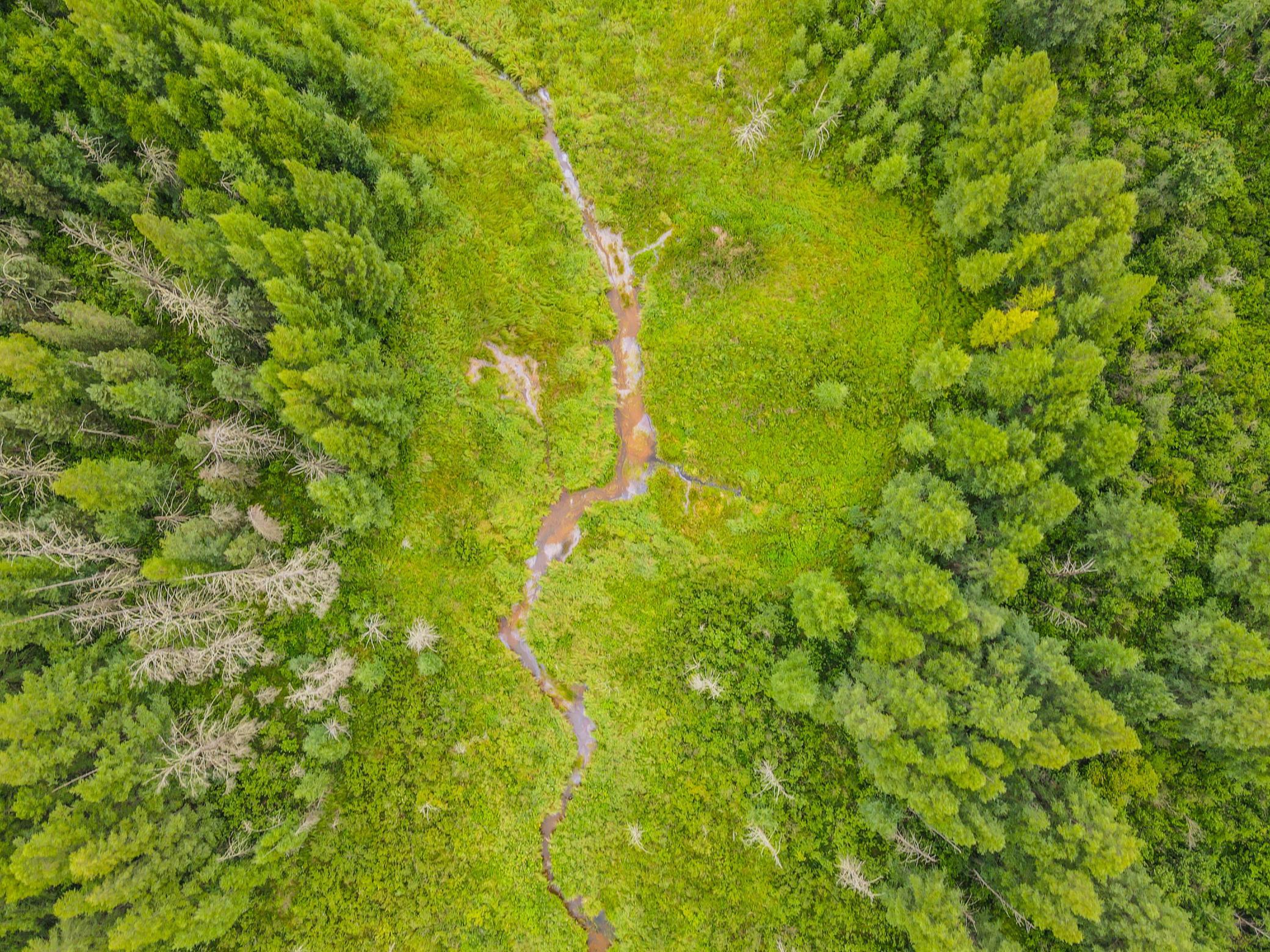 land for sale at TBD 285th Street in Osage, MN (photo 15 of 24)