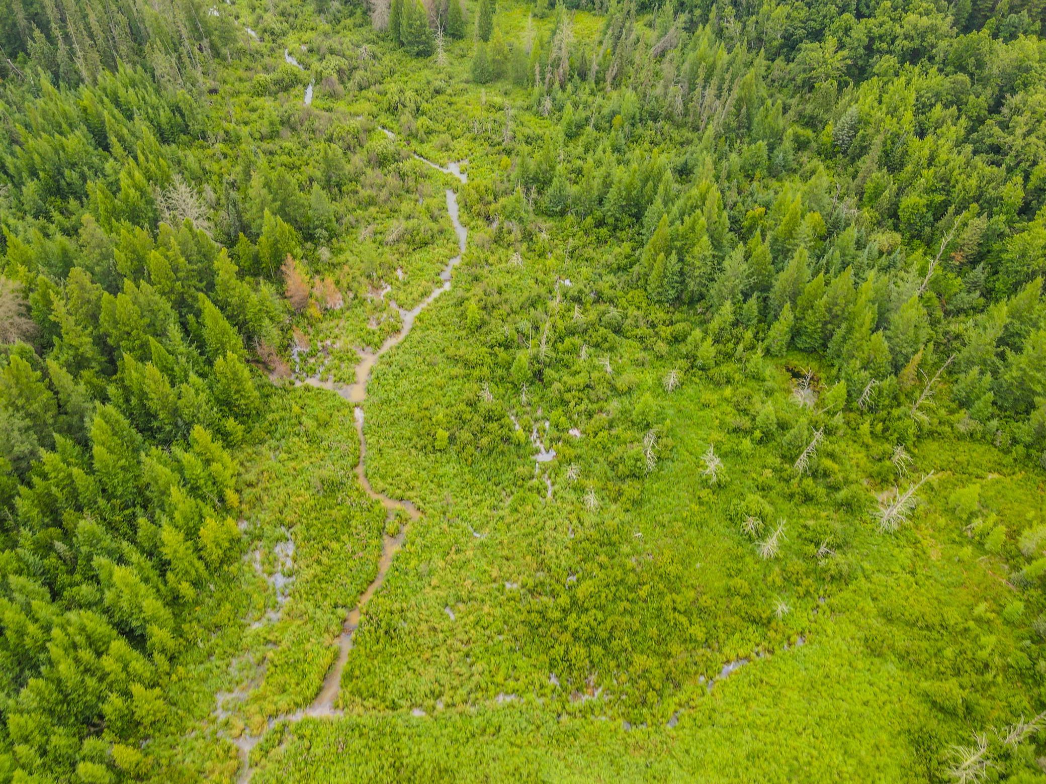 land for sale at TBD 285th Street in Osage, MN (photo 16 of 24)