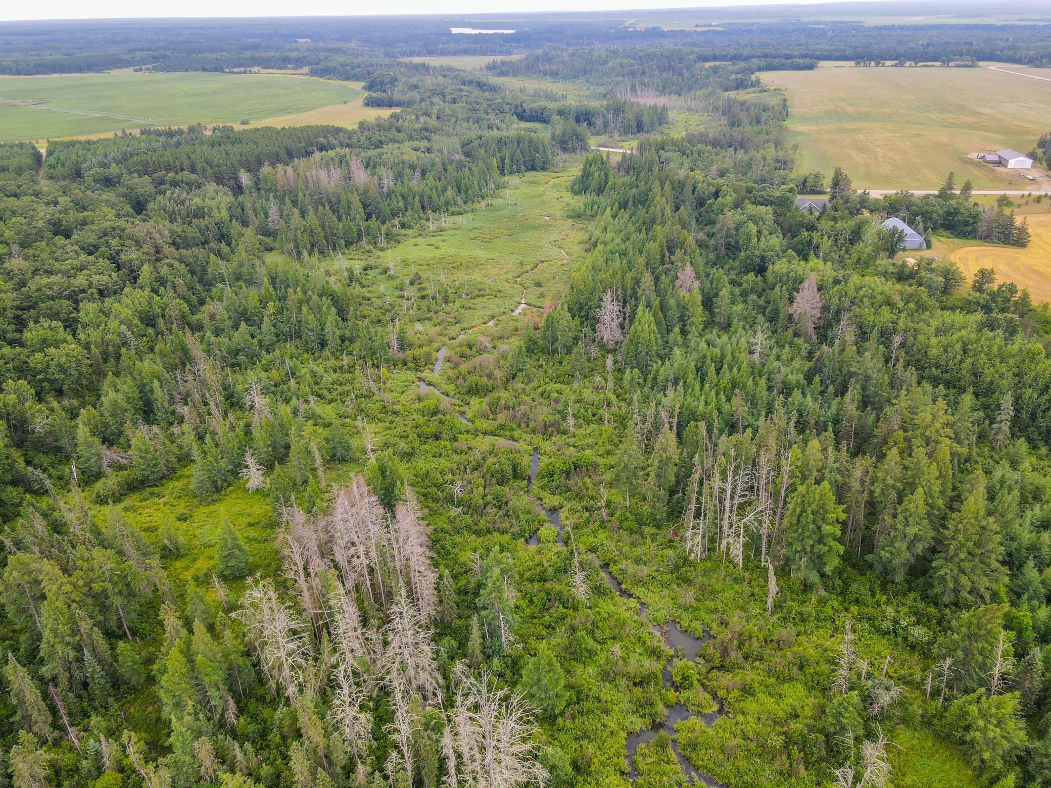 land for sale at TBD 285th Street in Osage, MN (photo 18 of 24)