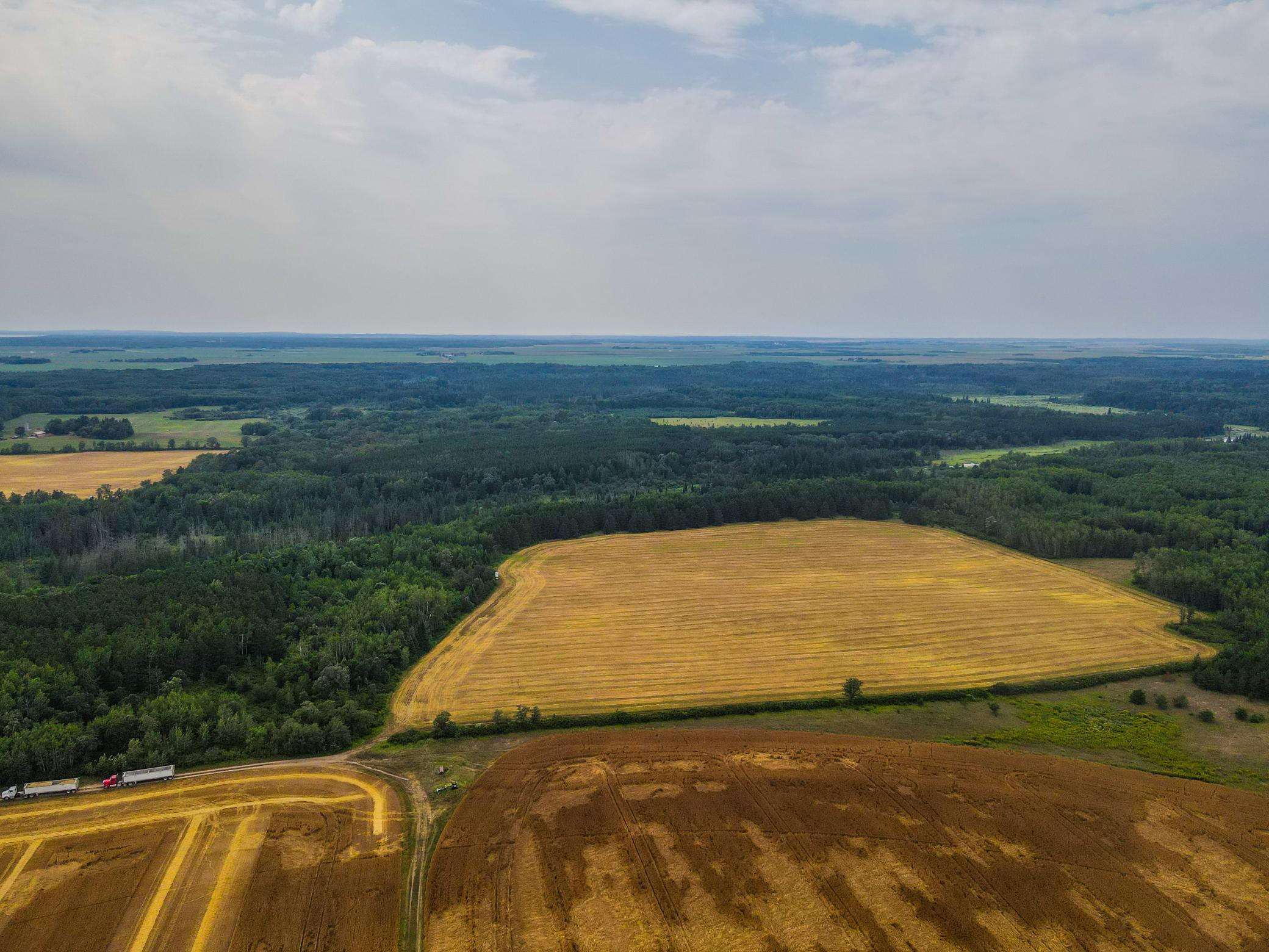land for sale at TBD 285th Street in Osage, MN (photo 20 of 24)