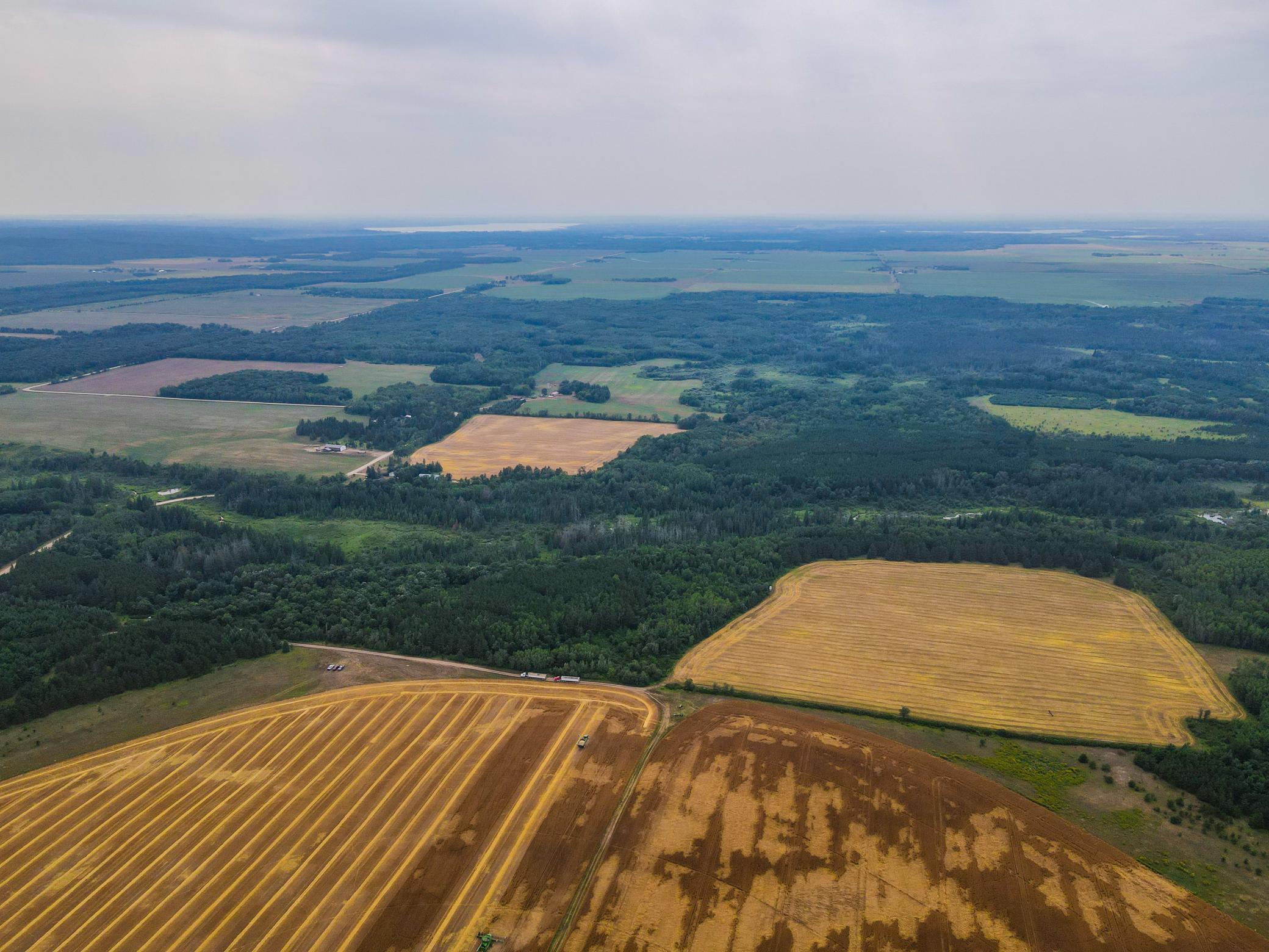 land for sale at TBD 285th Street in Osage, MN (photo 22 of 24)