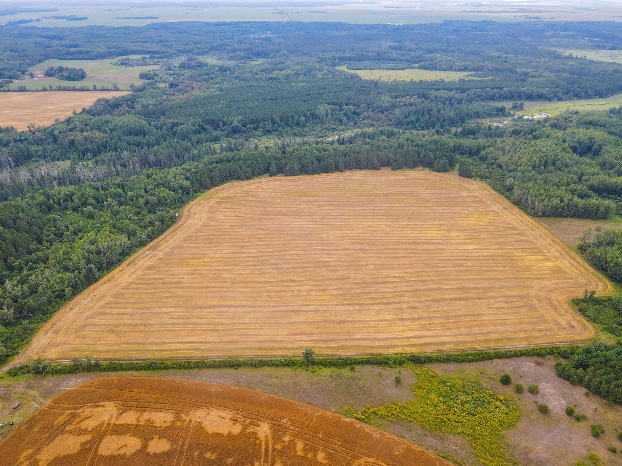land for sale at TBD 285th Street in Osage, MN (photo 23 of 24)