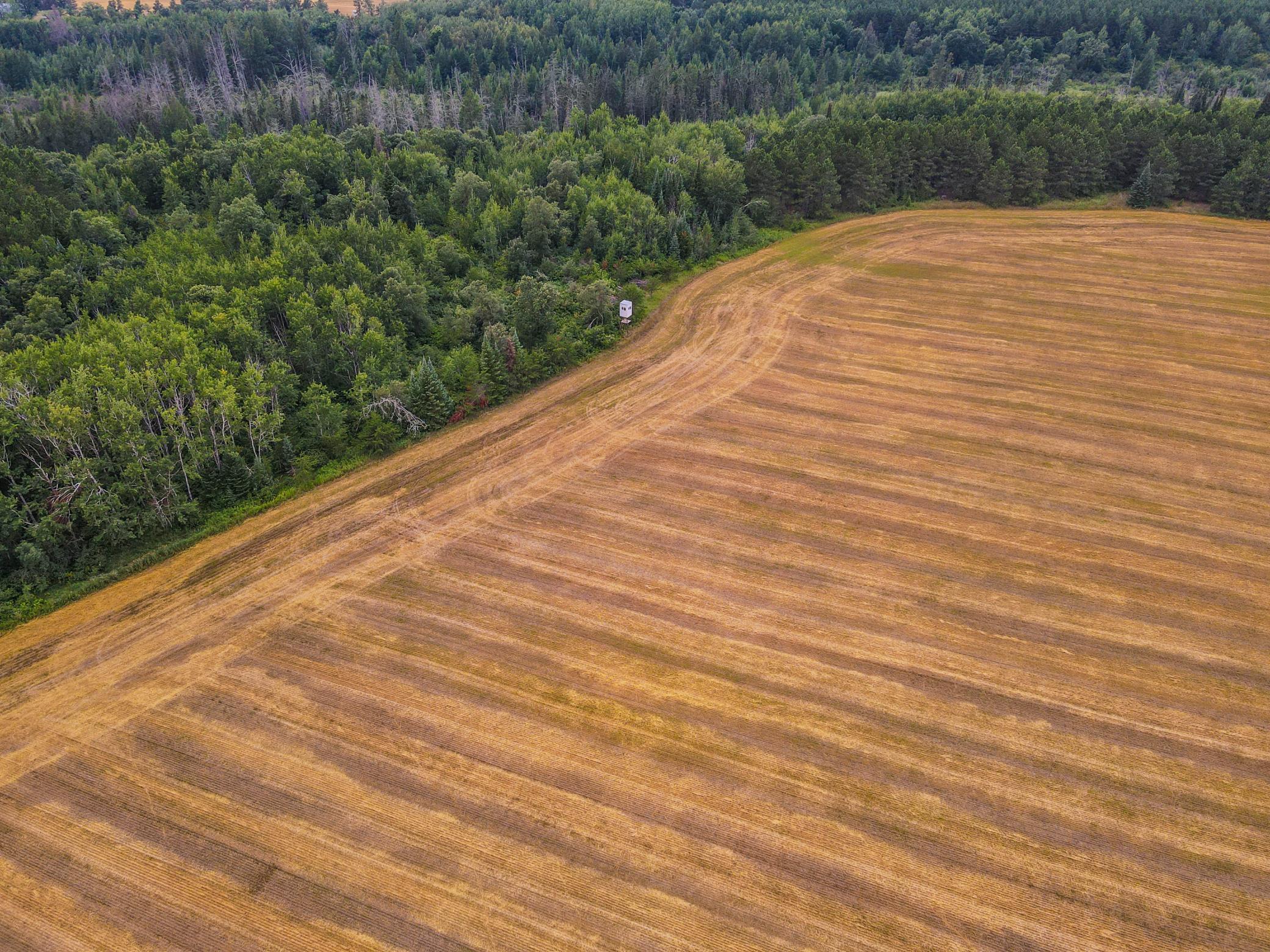 land for sale at TBD 285th Street in Osage, MN (photo 24 of 24)