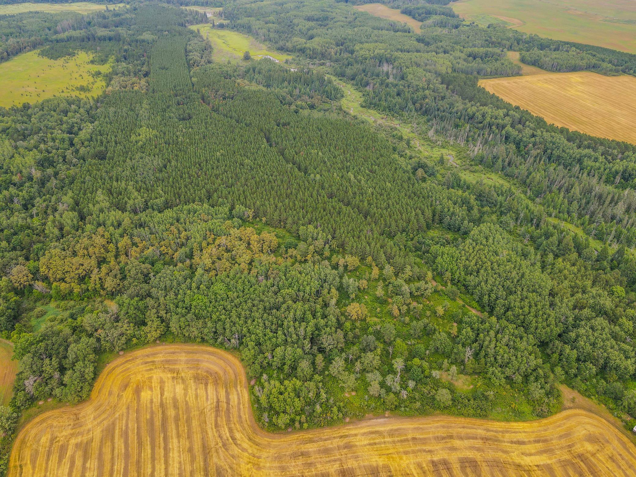 land for sale at TBD 285th Street in Osage, MN (photo 5 of 24)