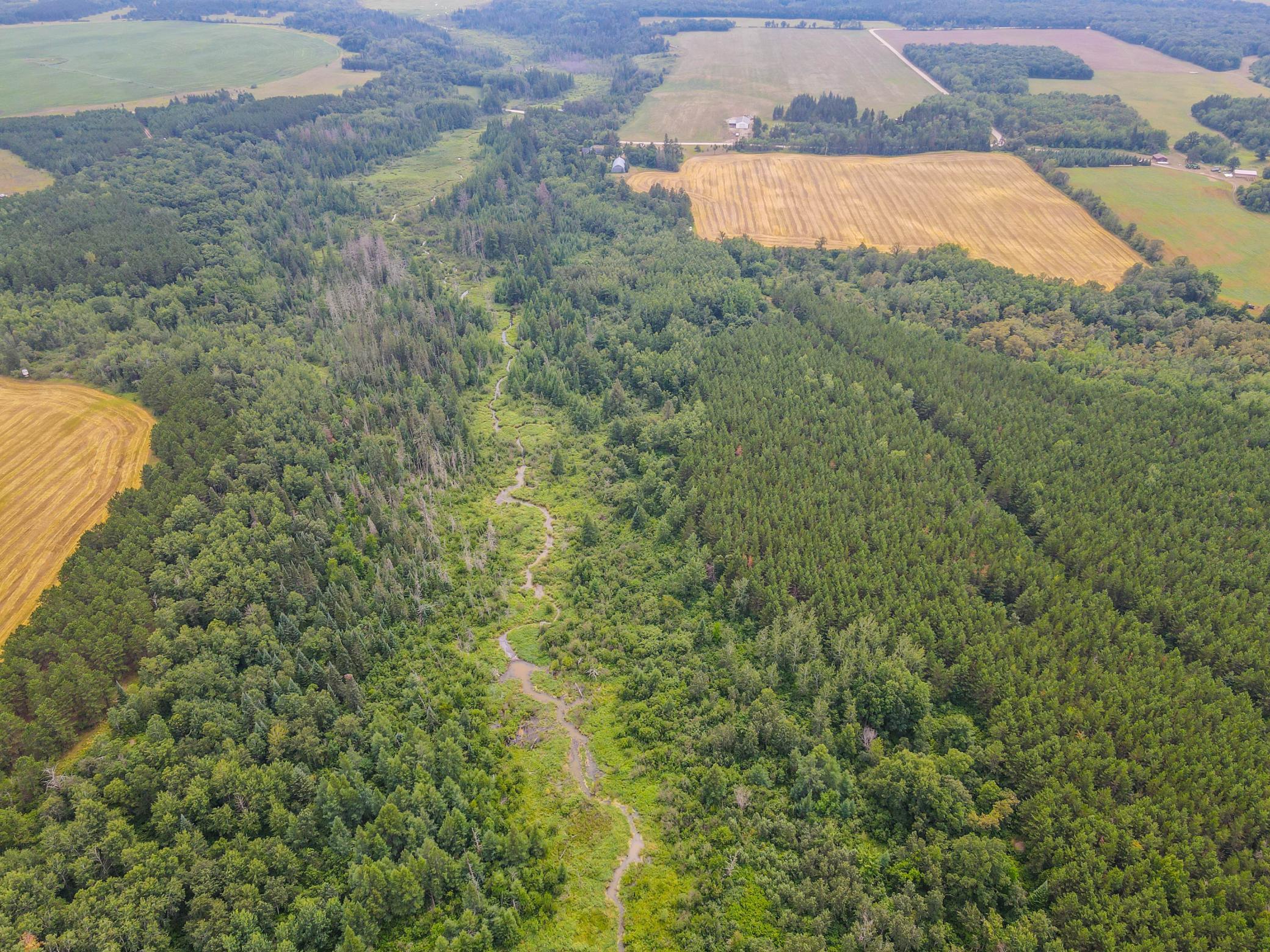 land for sale at TBD 285th Street in Osage, MN (photo 6 of 24)