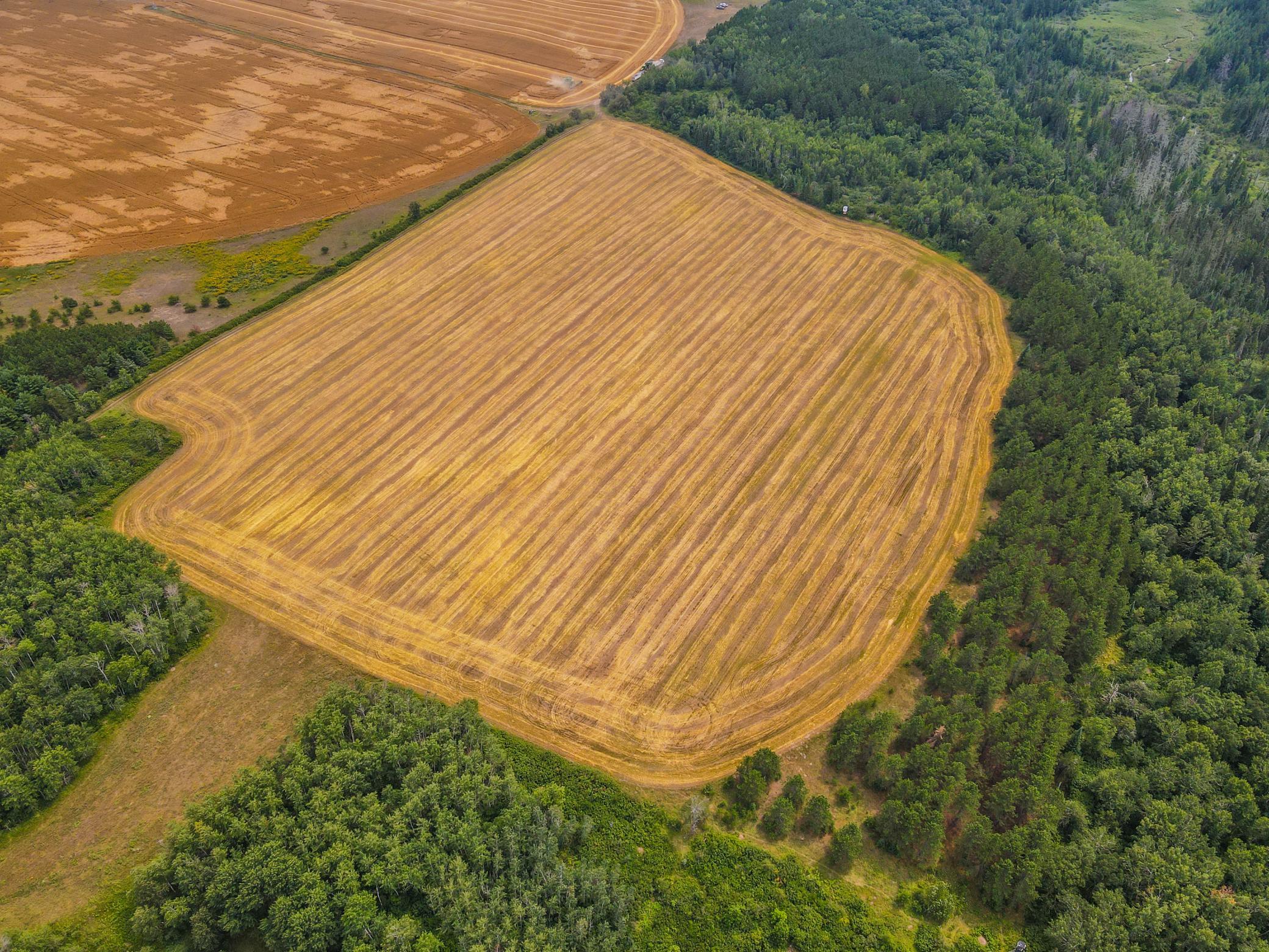 land for sale at TBD 285th Street in Osage, MN (photo 8 of 24)