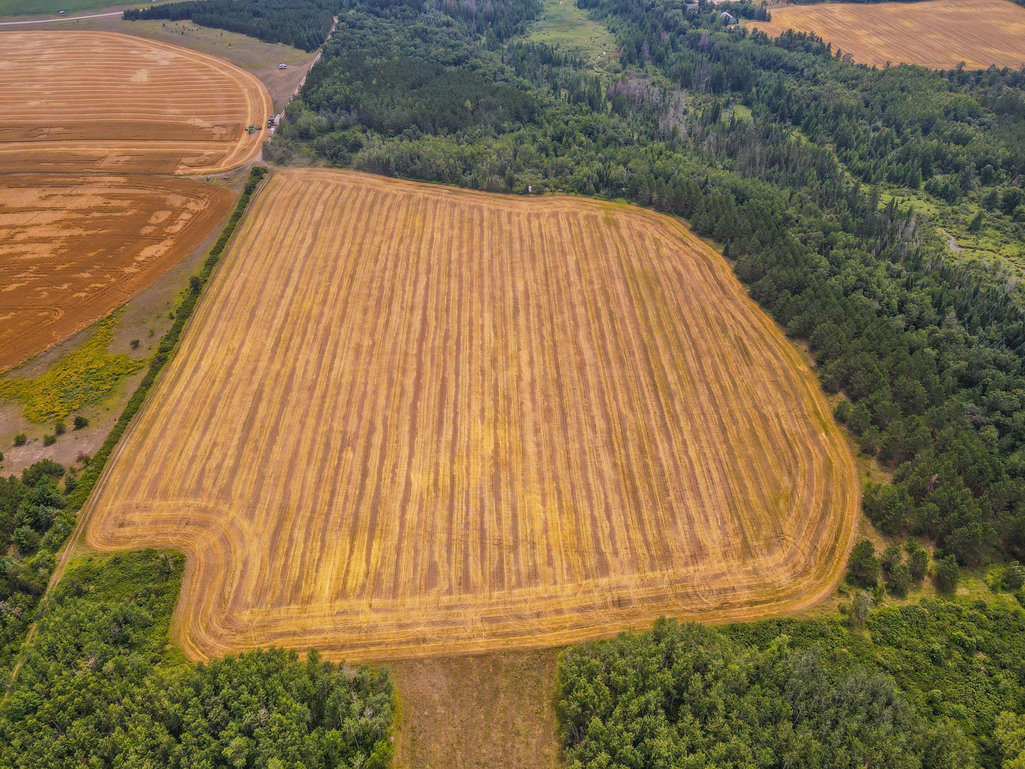 land for sale at TBD 285th Street in Osage, MN (photo 9 of 24)