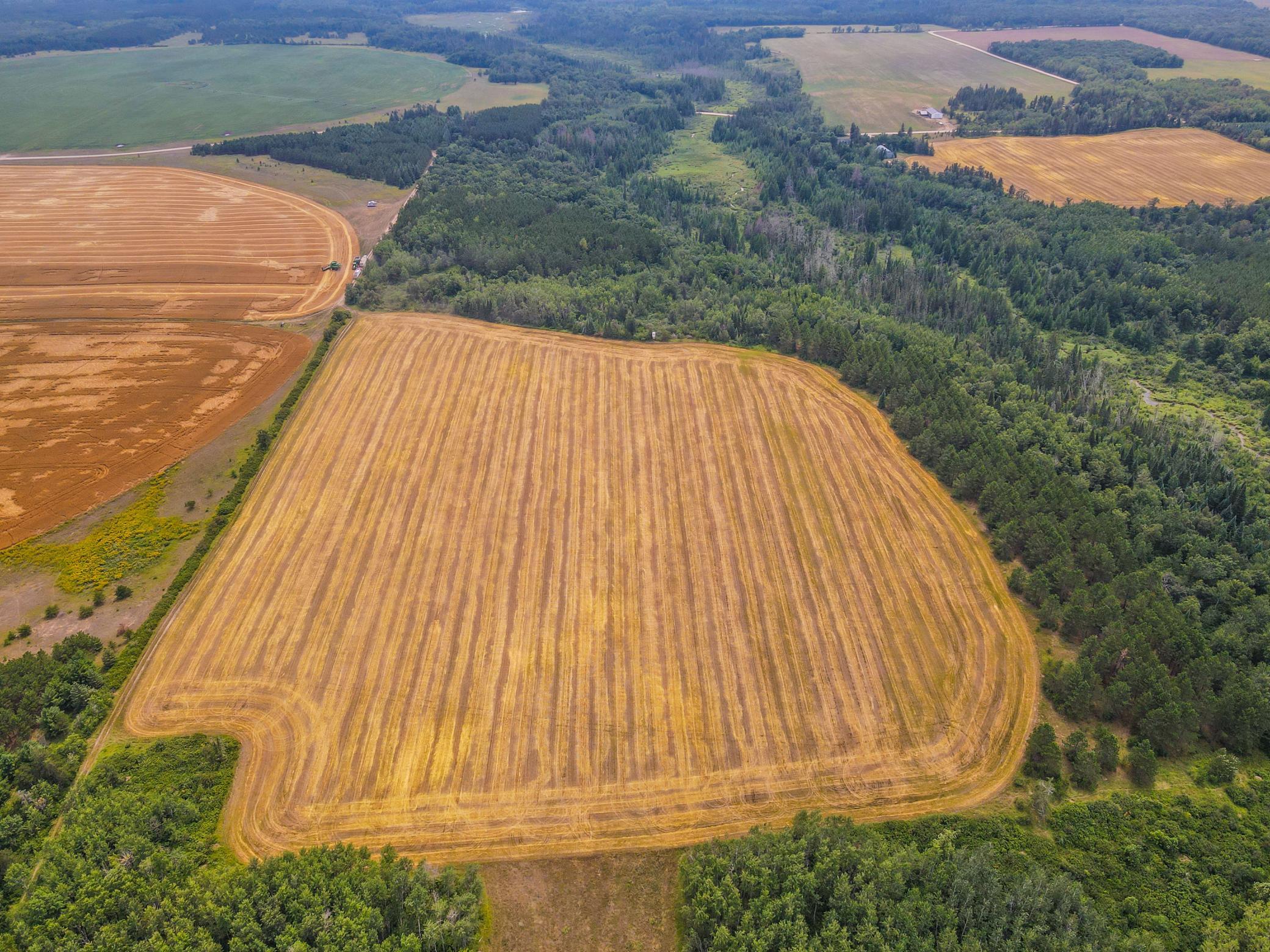 land for sale at TBD 285th Street in Osage, MN (photo 10 of 24)
