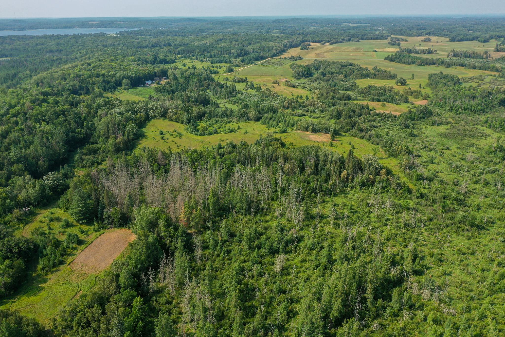 TBD Wilderness Drive, Frazee MN 56544 - Photo 14 of 85