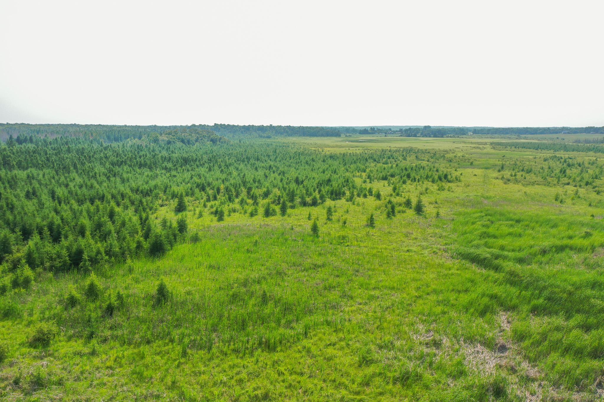TBD Wilderness Drive, Frazee MN 56544 - Photo 20 of 85