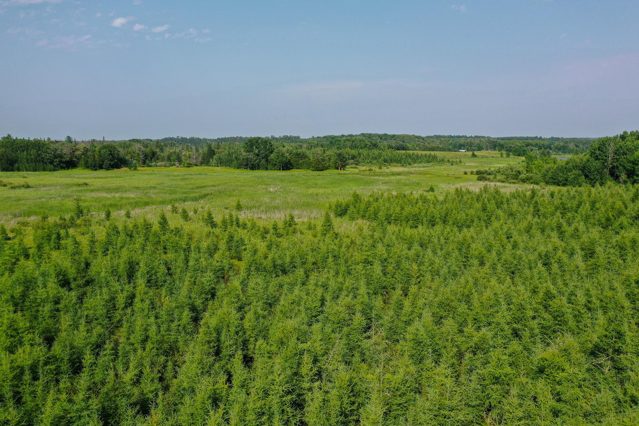 TBD Wilderness Drive, Frazee MN 56544 - Photo 21 of 85