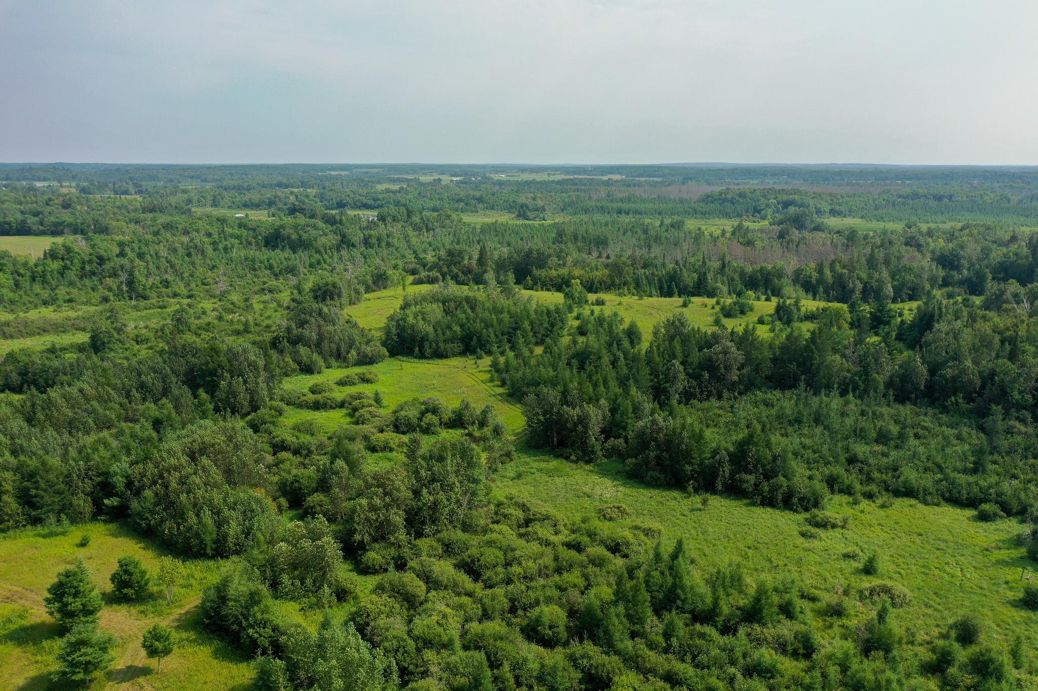 TBD Wilderness Drive, Frazee MN 56544 - Photo 33 of 85