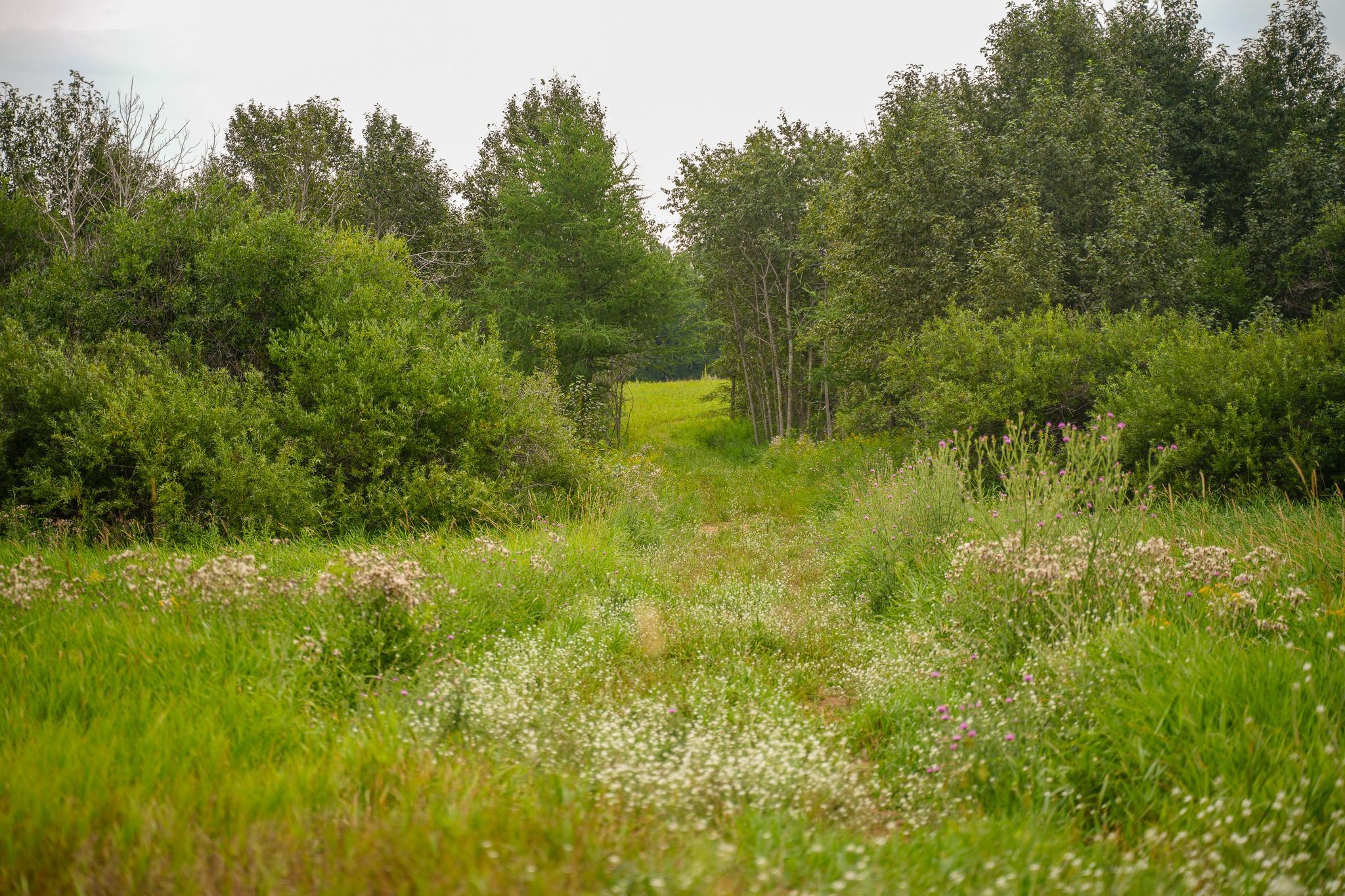 TBD Wilderness Drive, Frazee MN 56544 - Photo 35 of 85